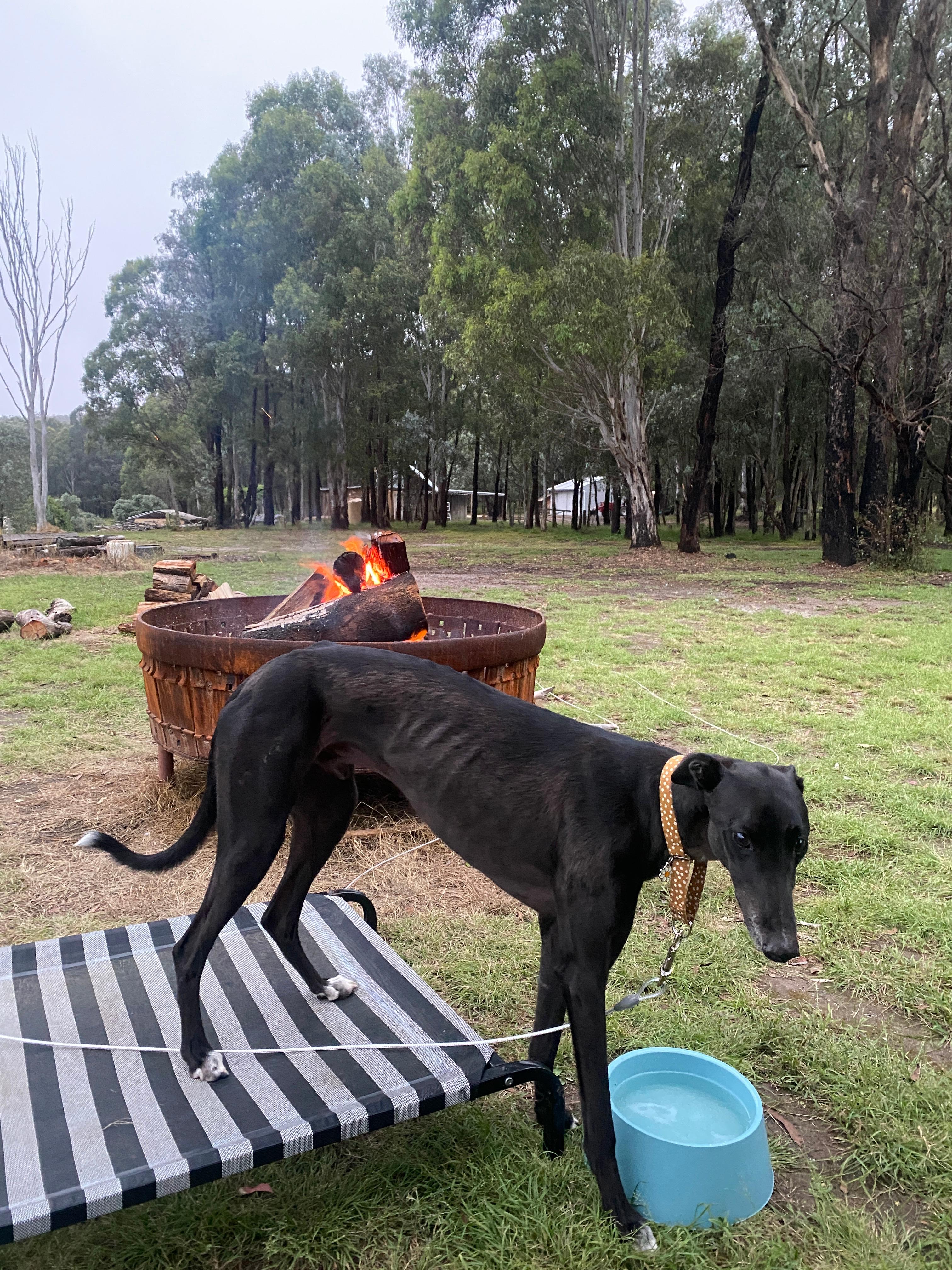 Briagalong Bush Getaway