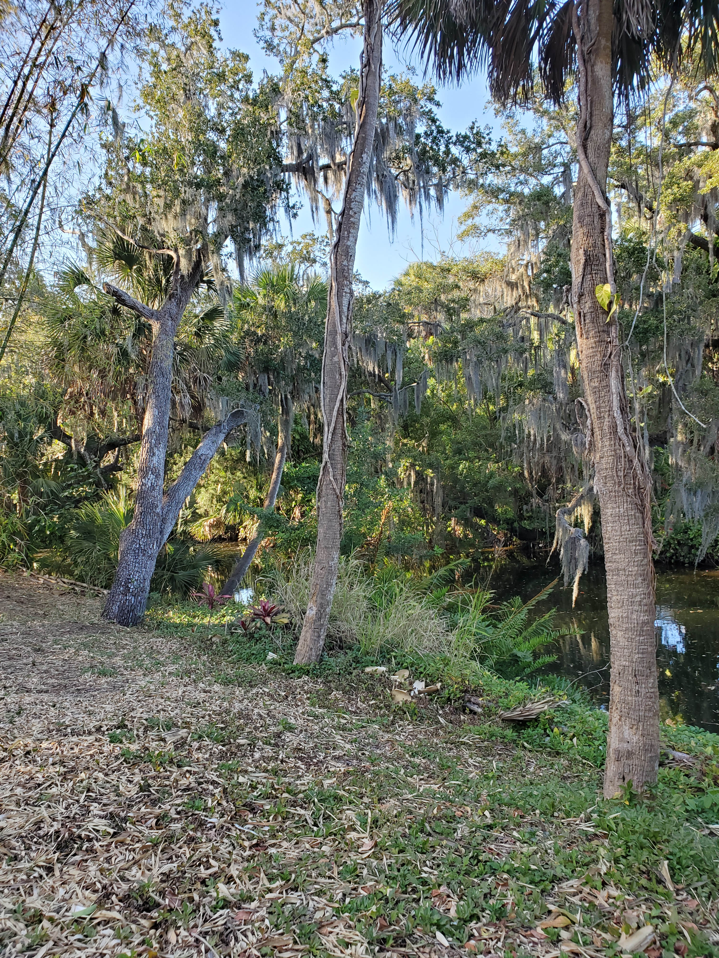Bayou Bliss