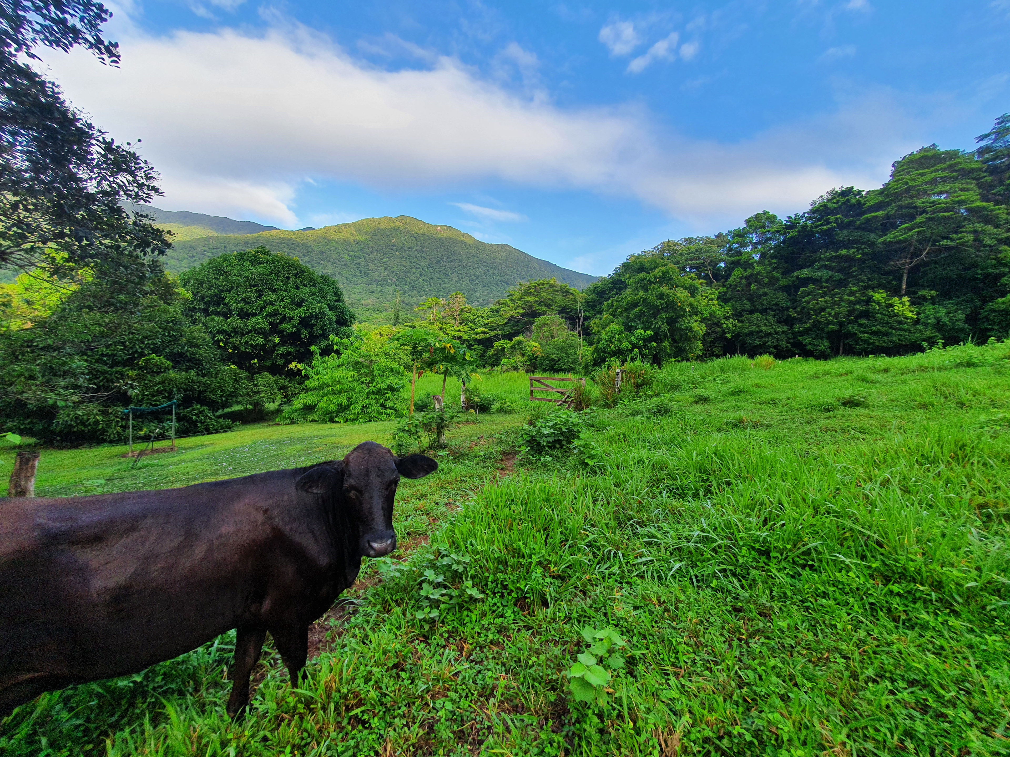 Gap Creek Camping Bloomfield