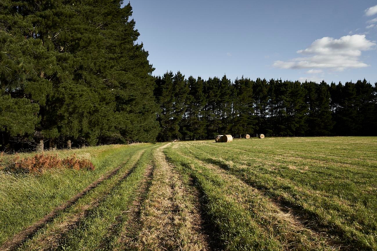 Not a house or building to see not a car to hear