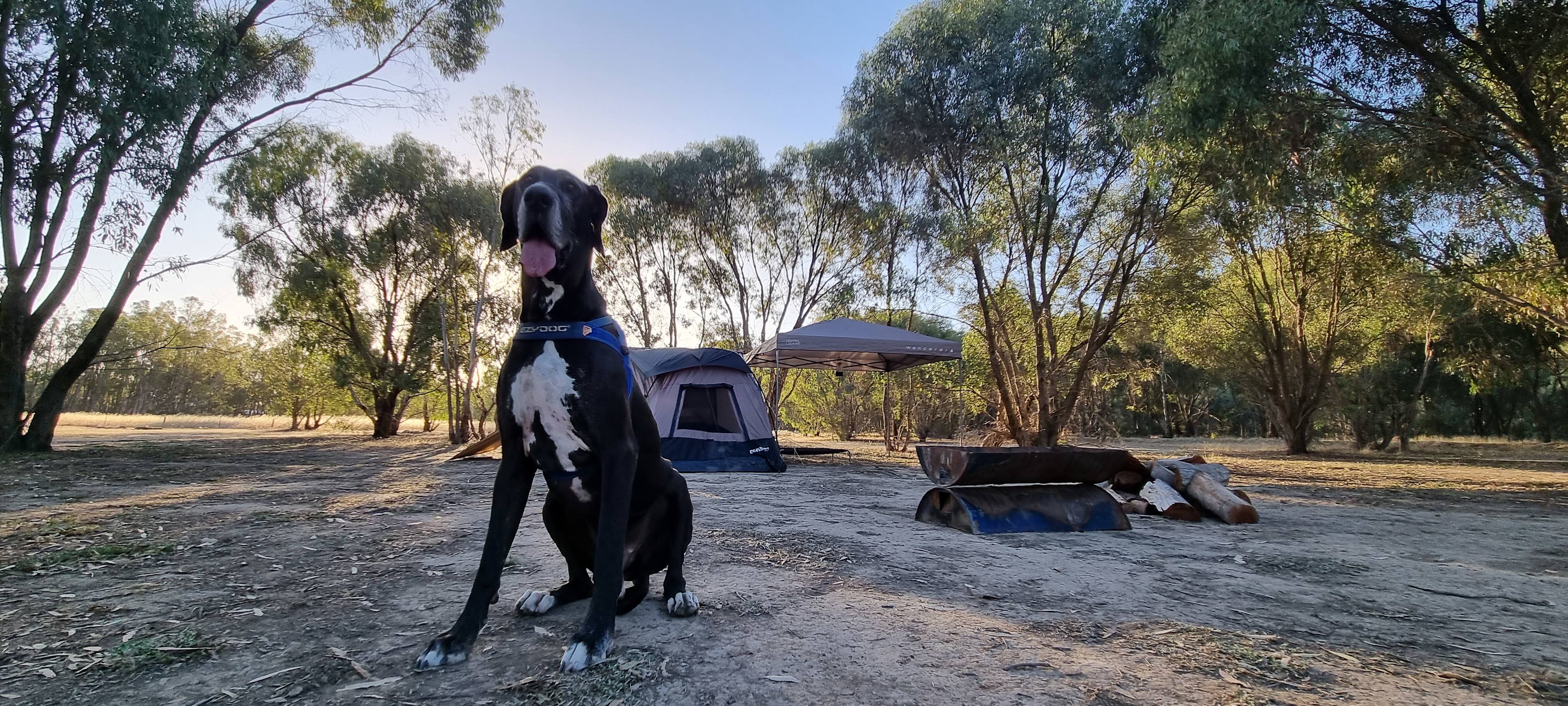 Murray River Bush Camp