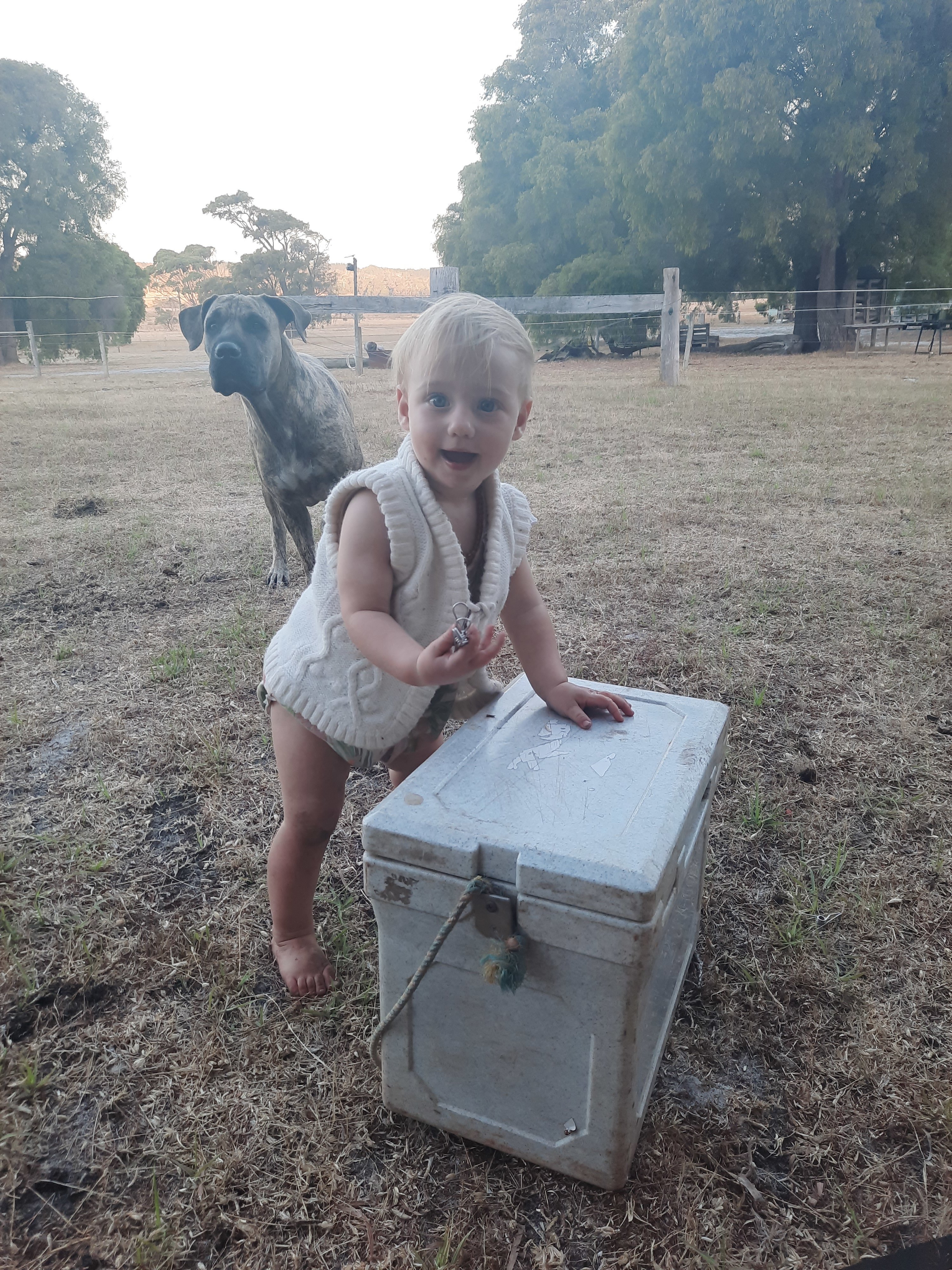 Bub and Simba just hanging out at camp! 