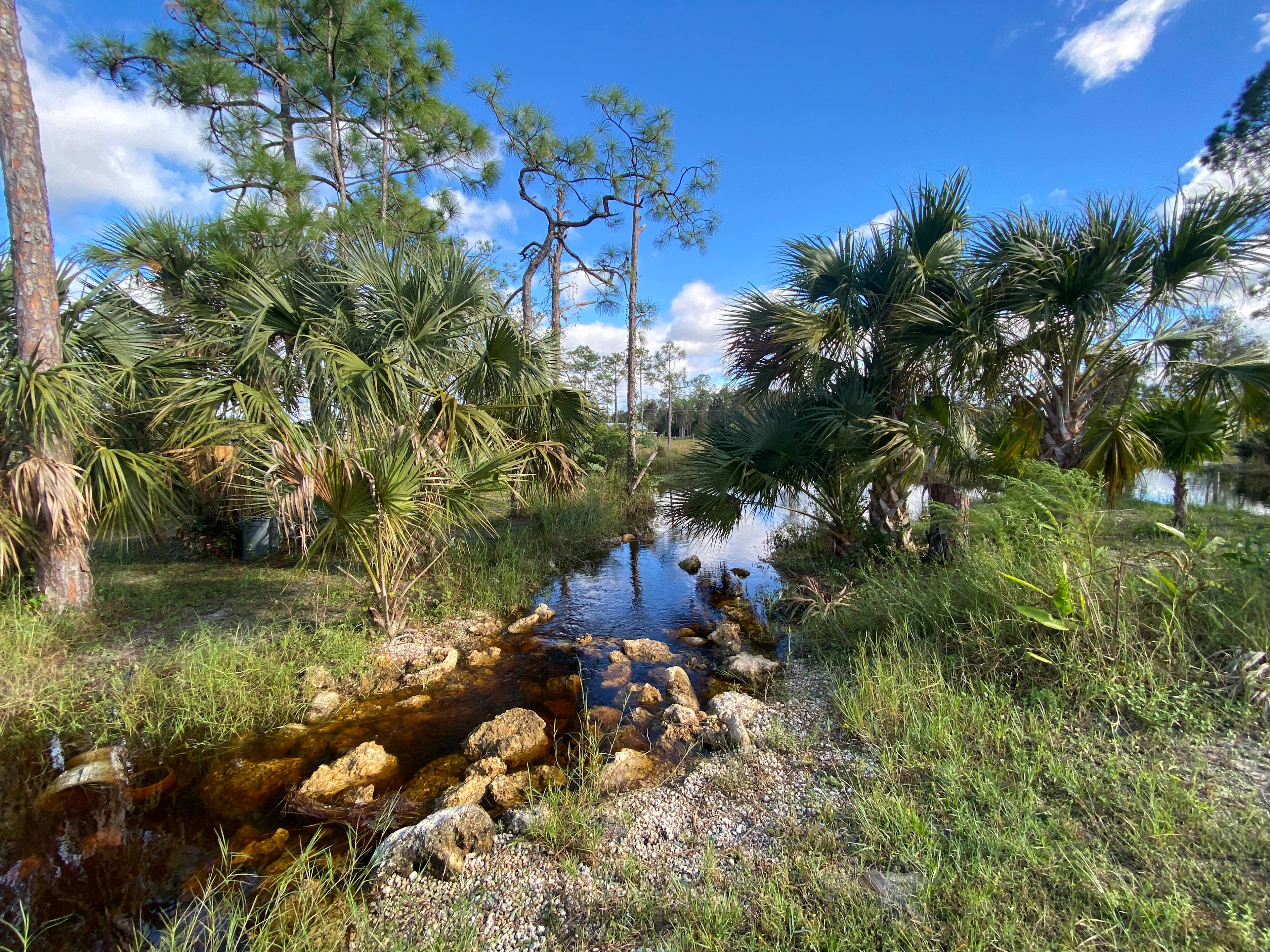 Tres Lagos Farm & Garden