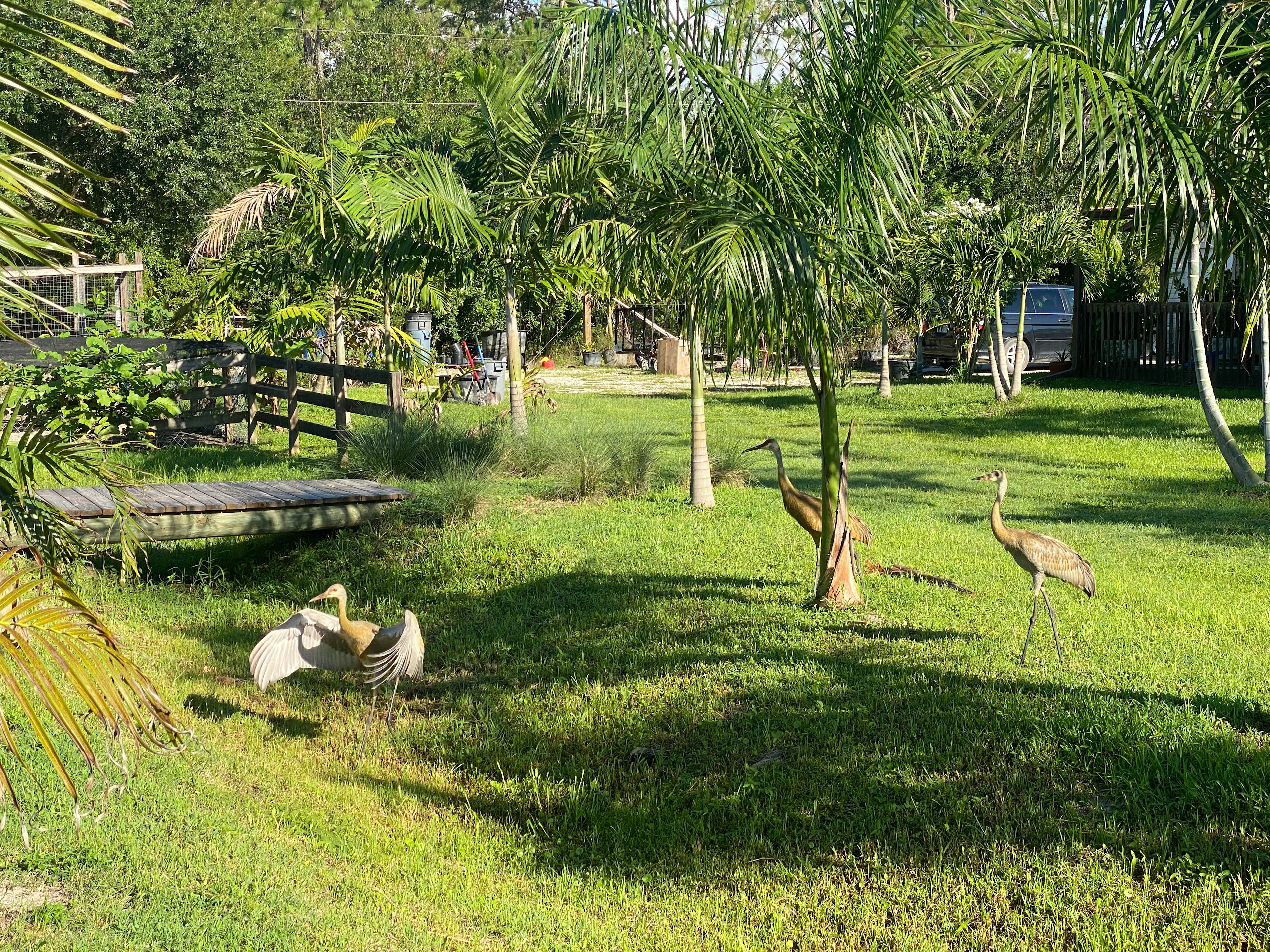 Tres Lagos Farm & Garden