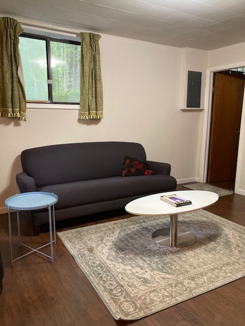 basement family room