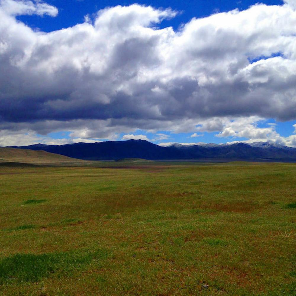 Dirt Ranch