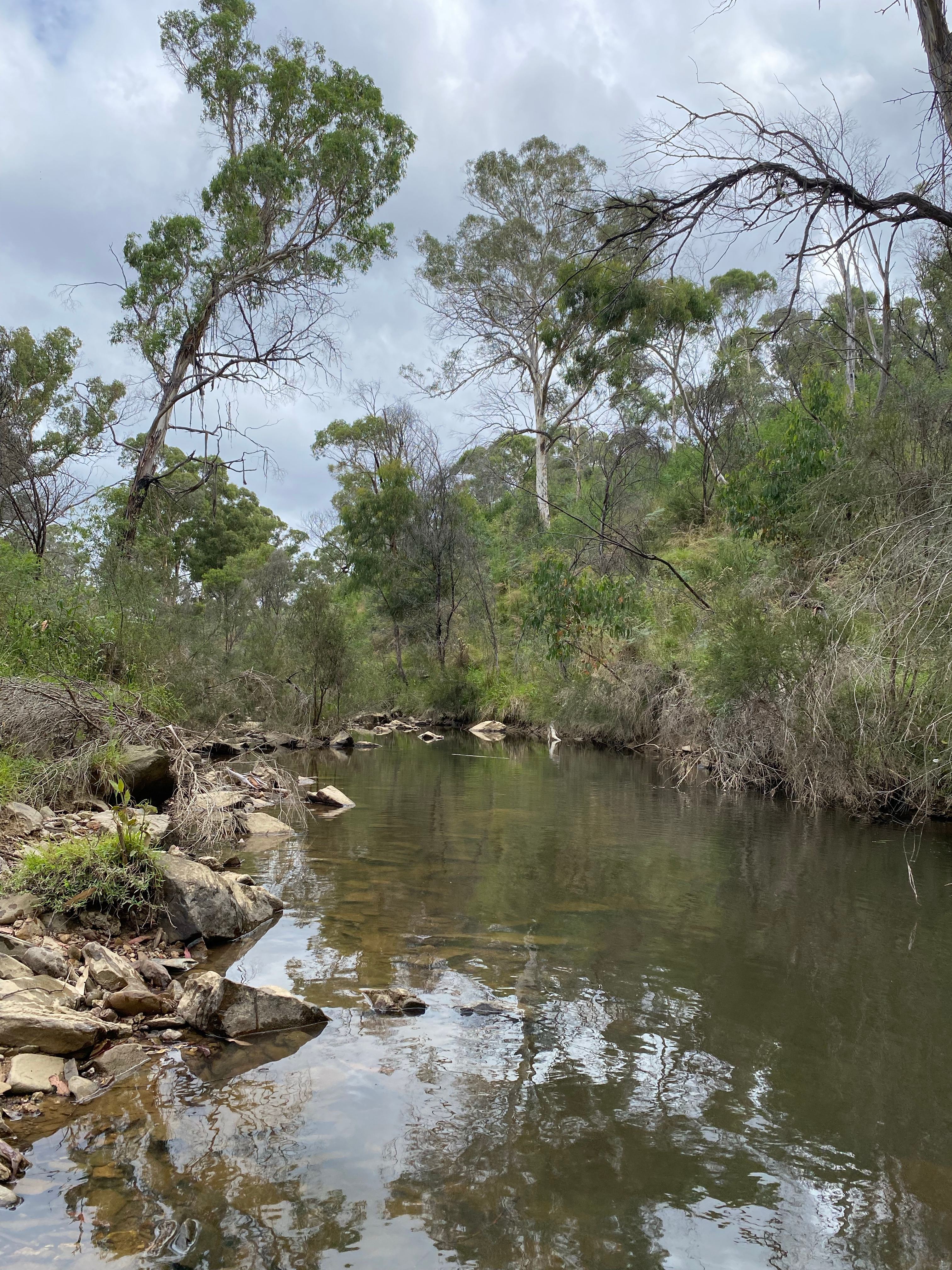 Ningee Nimbell creek Nature Camp