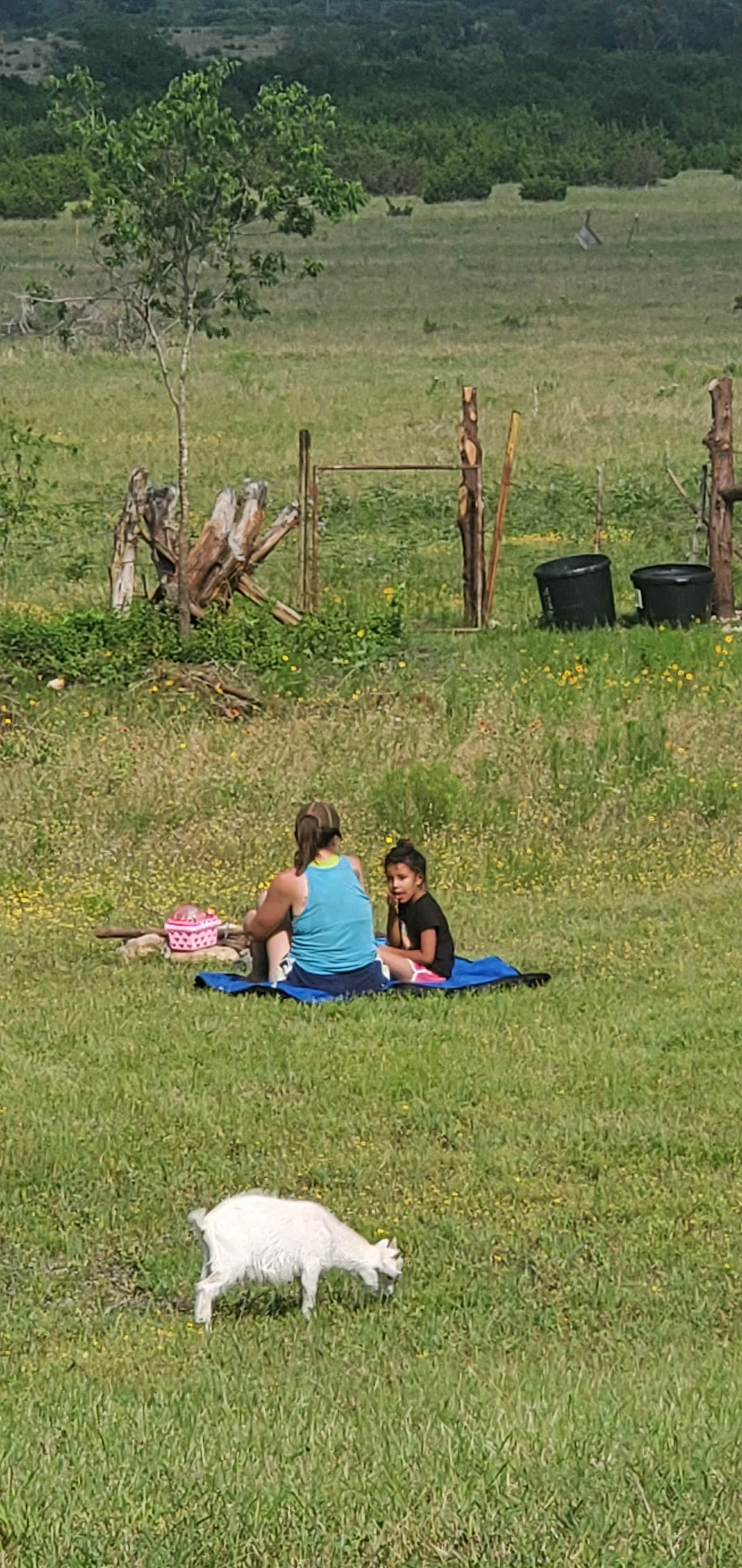 Fossil Bed Camp