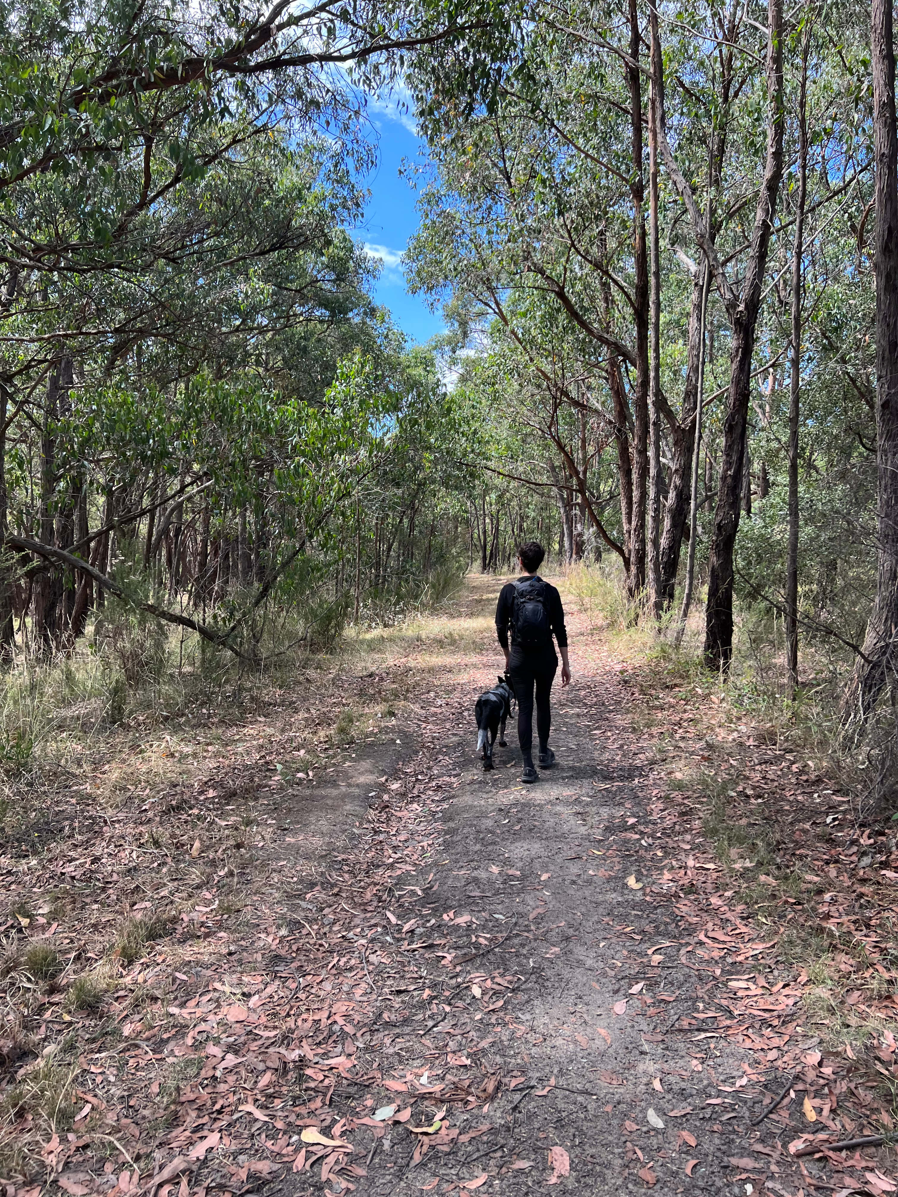 Walking path along the rear of the property