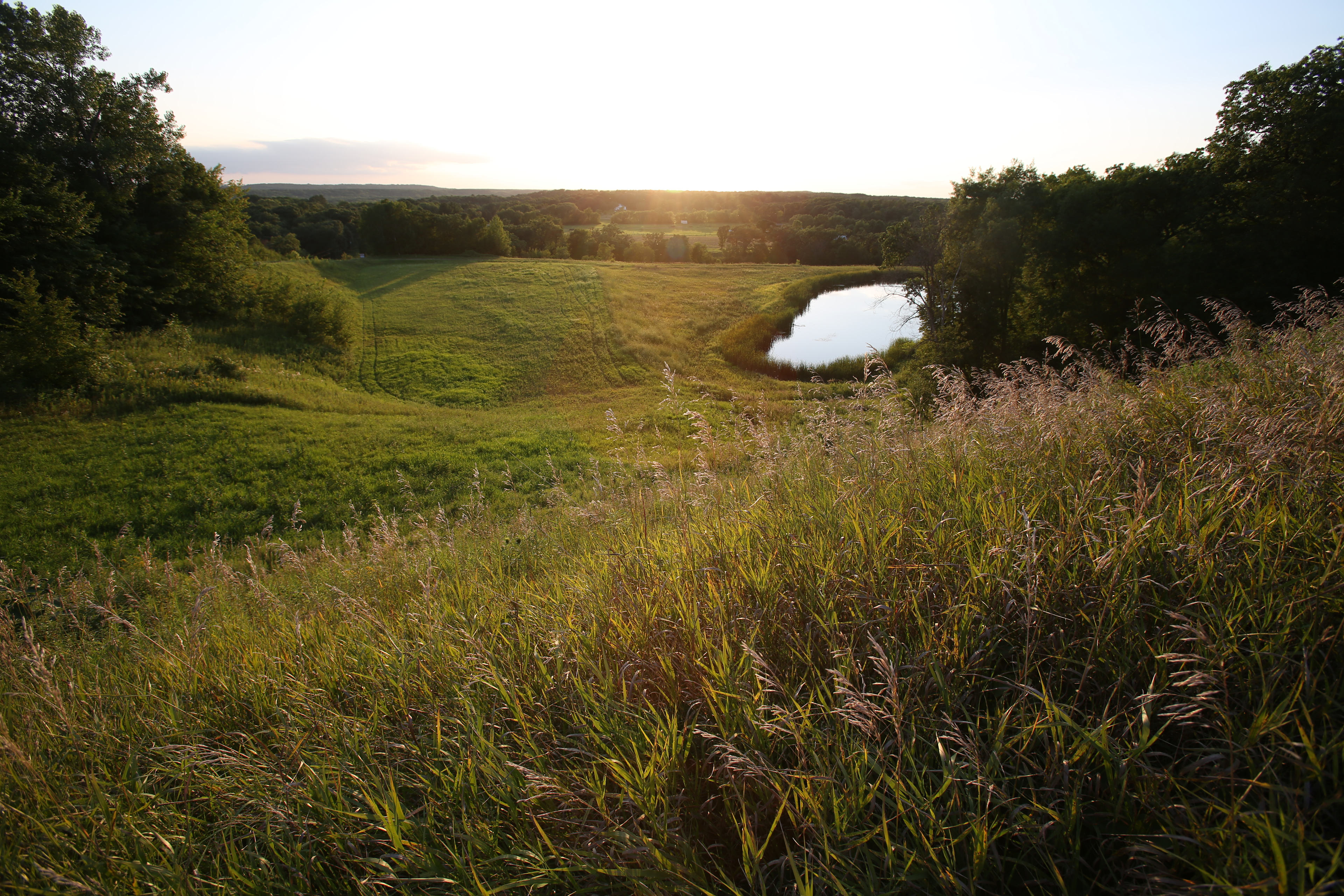 Dusk over the pond...