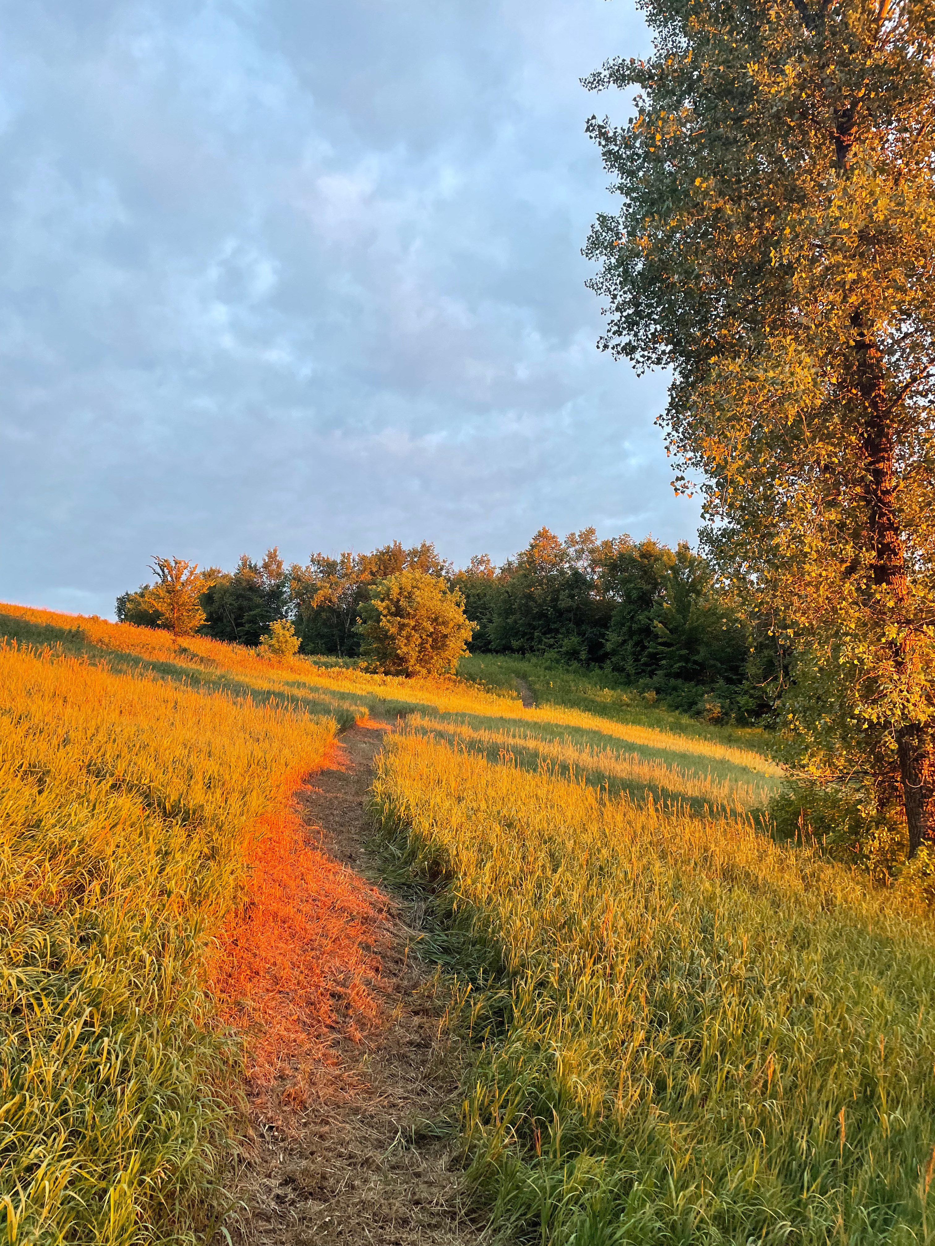 The trail to the top of the ridge starts behind the Belle tent and ends at a spectacular view of the St Croix River valley.