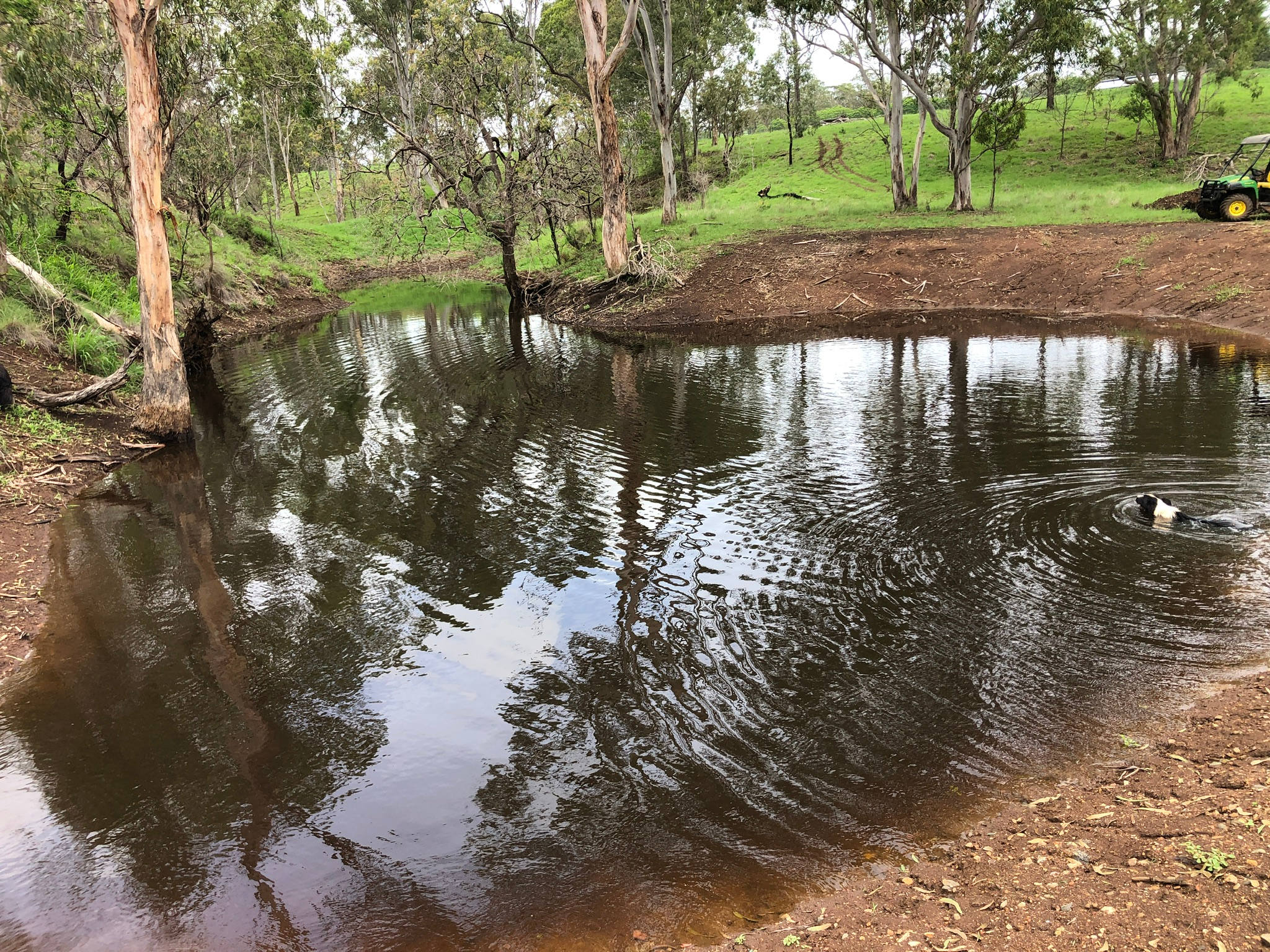 Empty Pockets creek-side Farm Stay