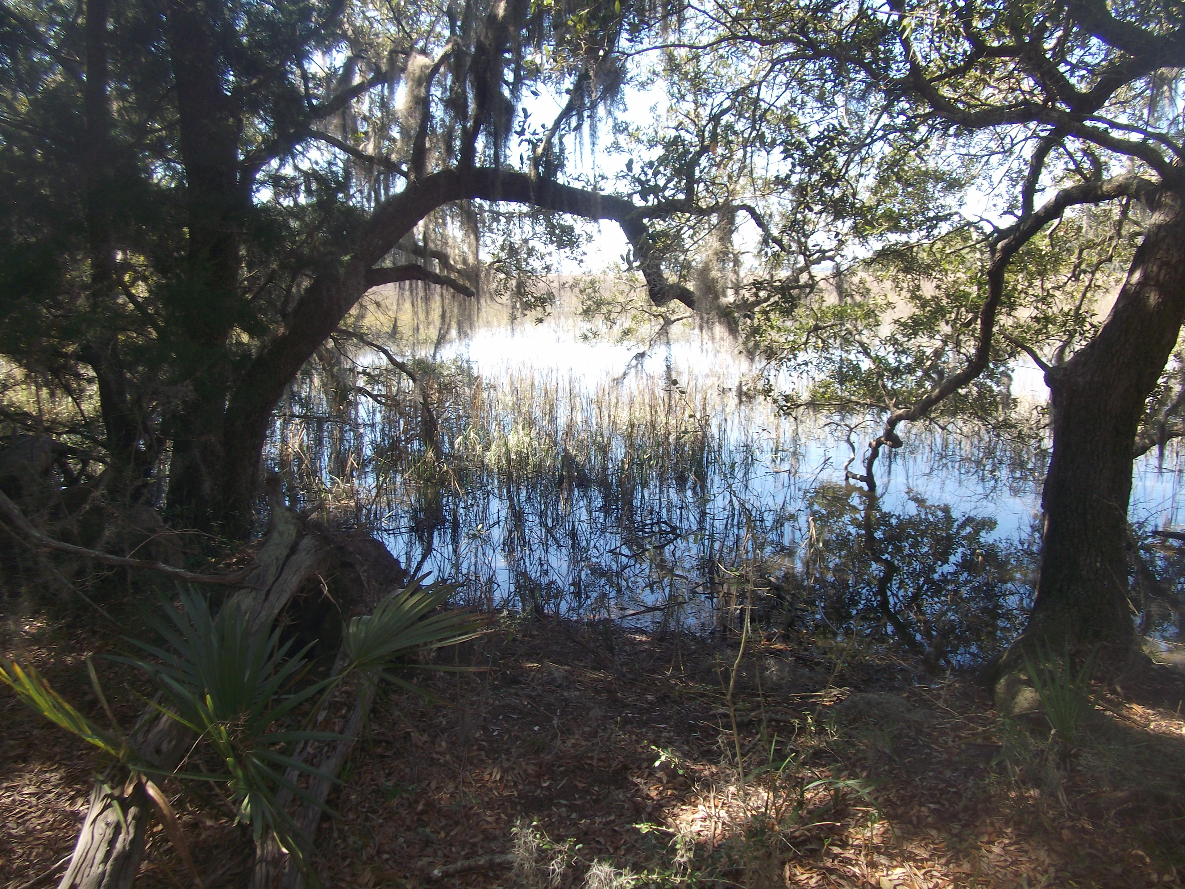 Ted P.’s Land