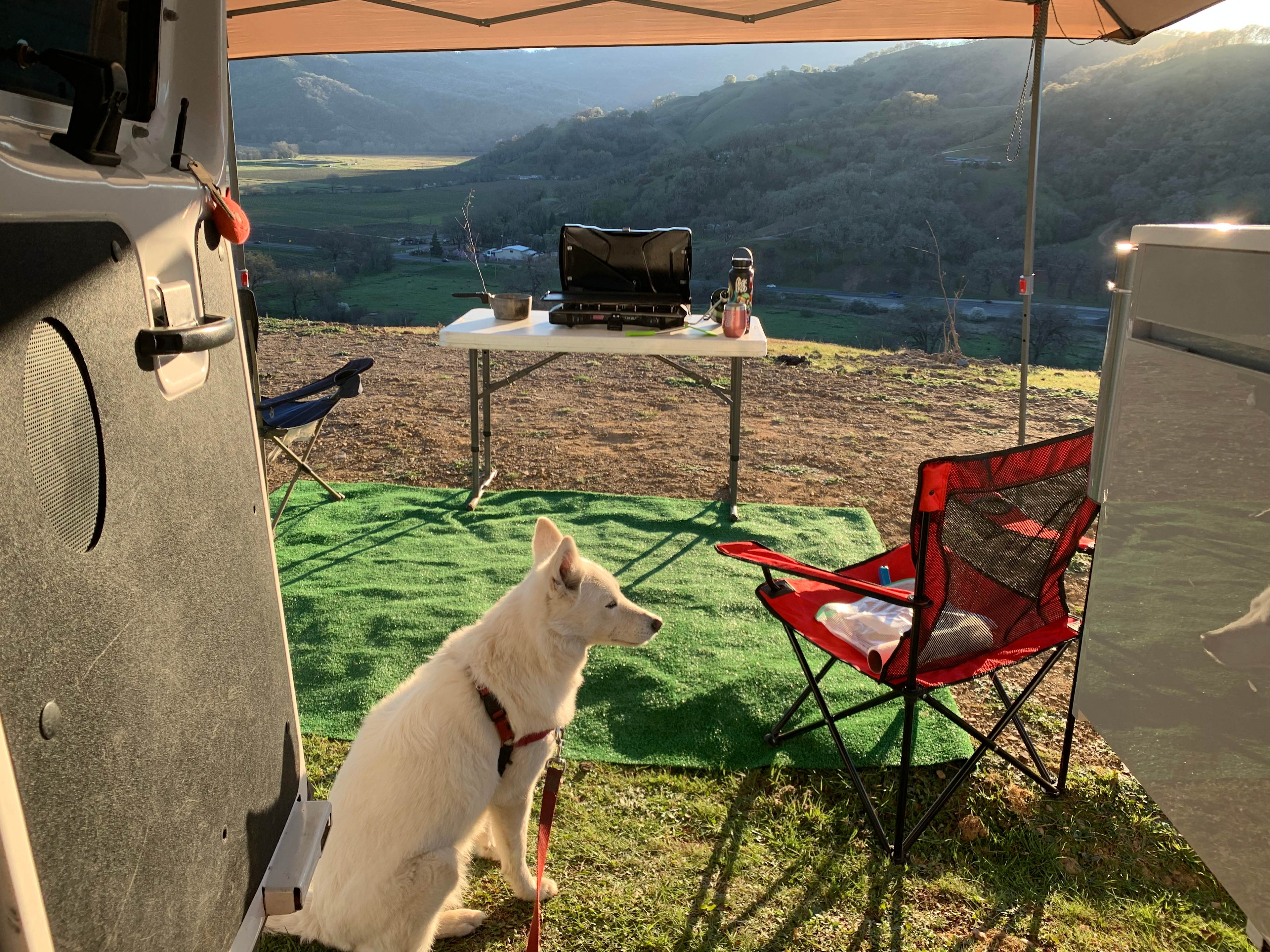 Nelson Family Vineyards