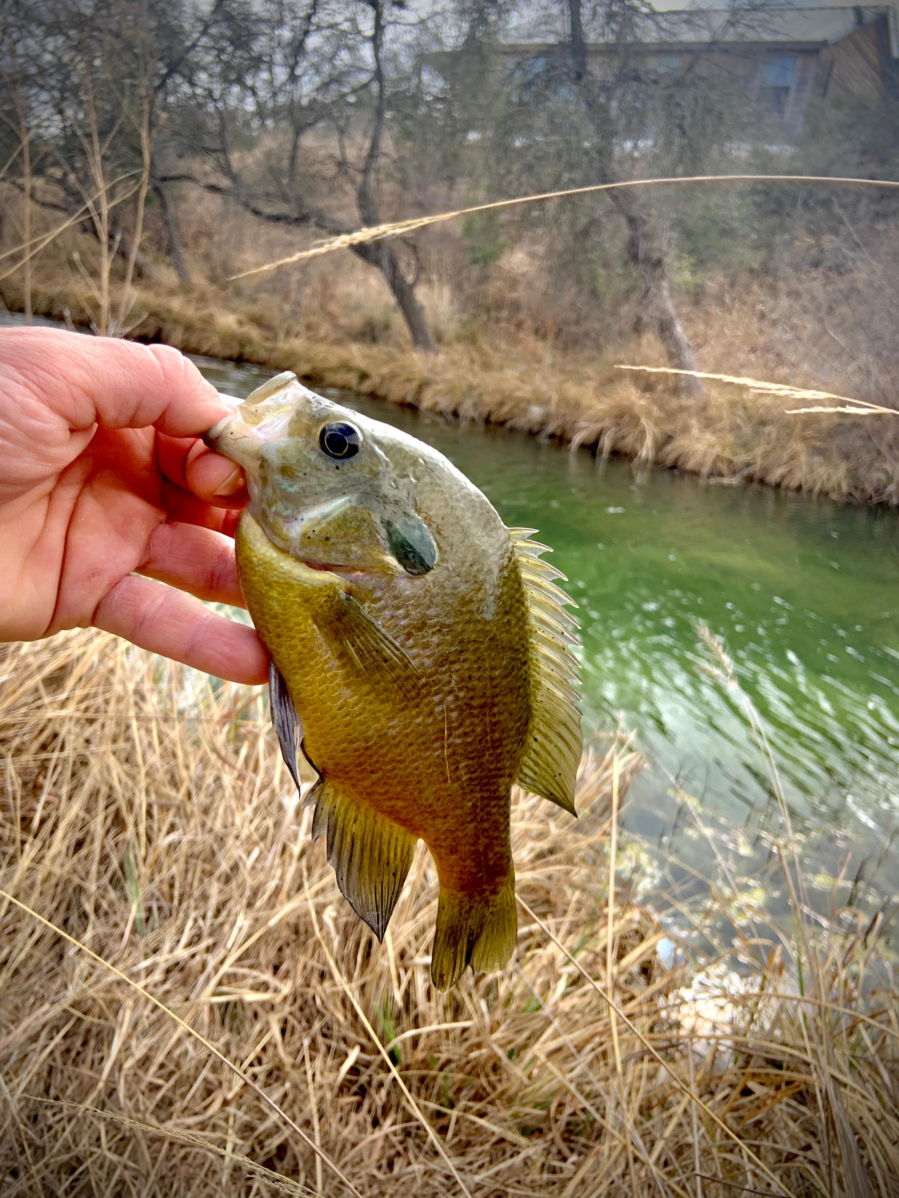 City on a Hill at Spring Creek