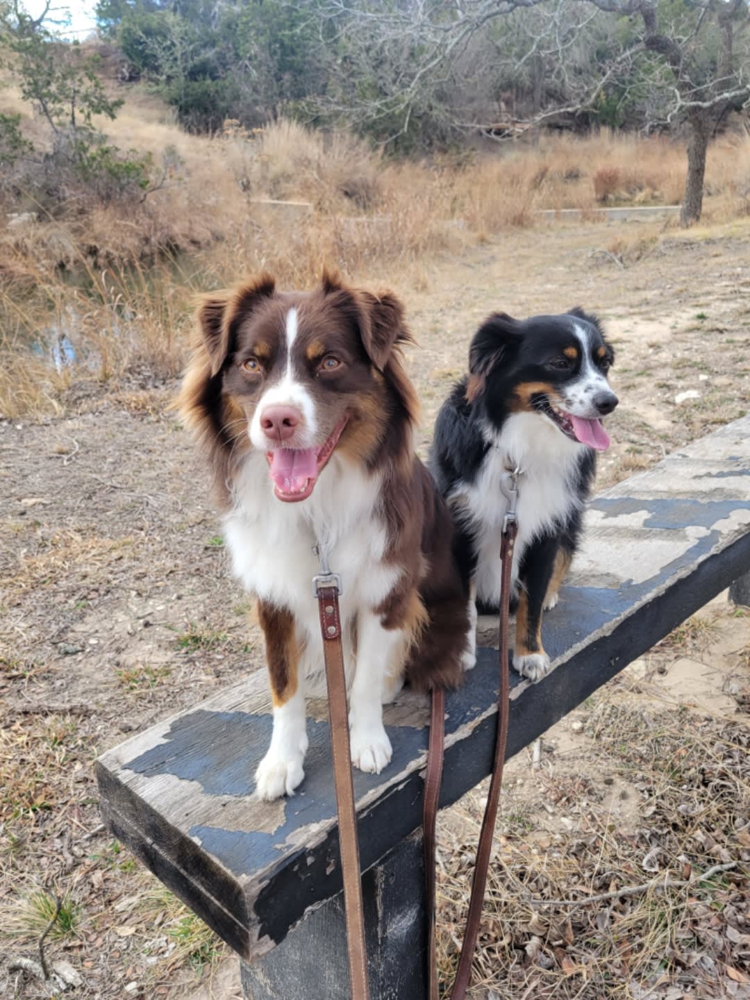 City on a Hill at Spring Creek
