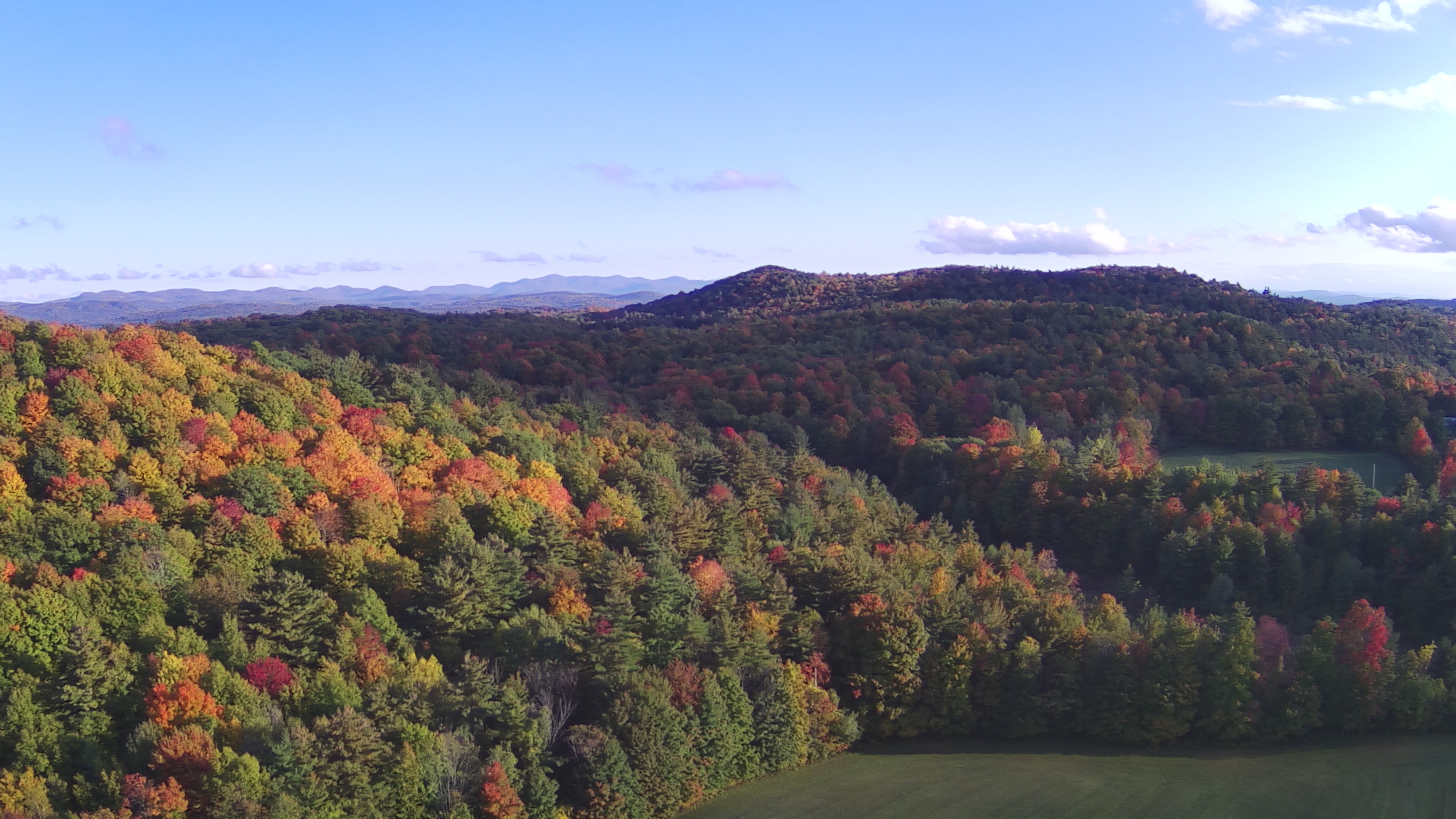 Aerial view over our woodlands