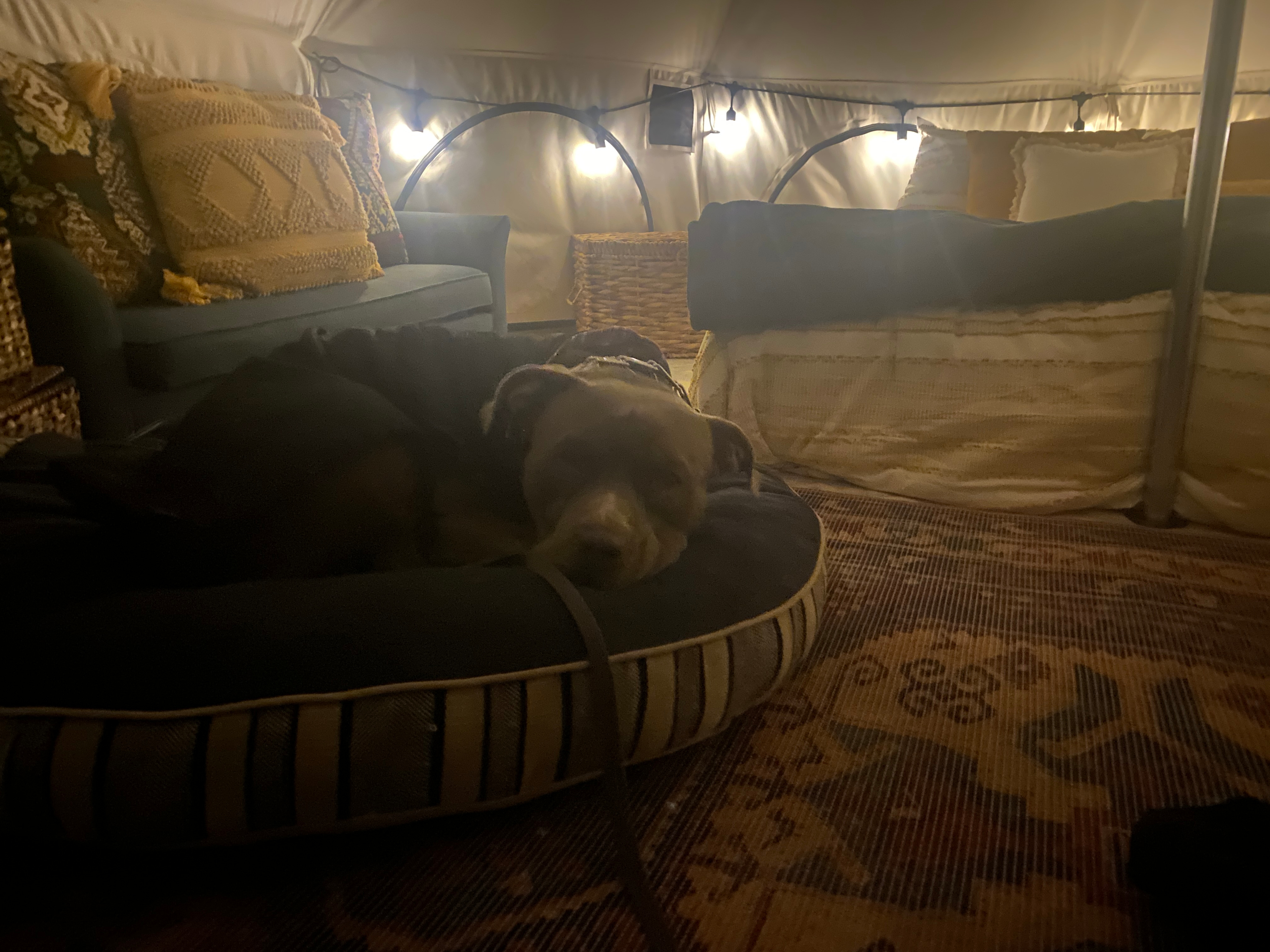 The yurt