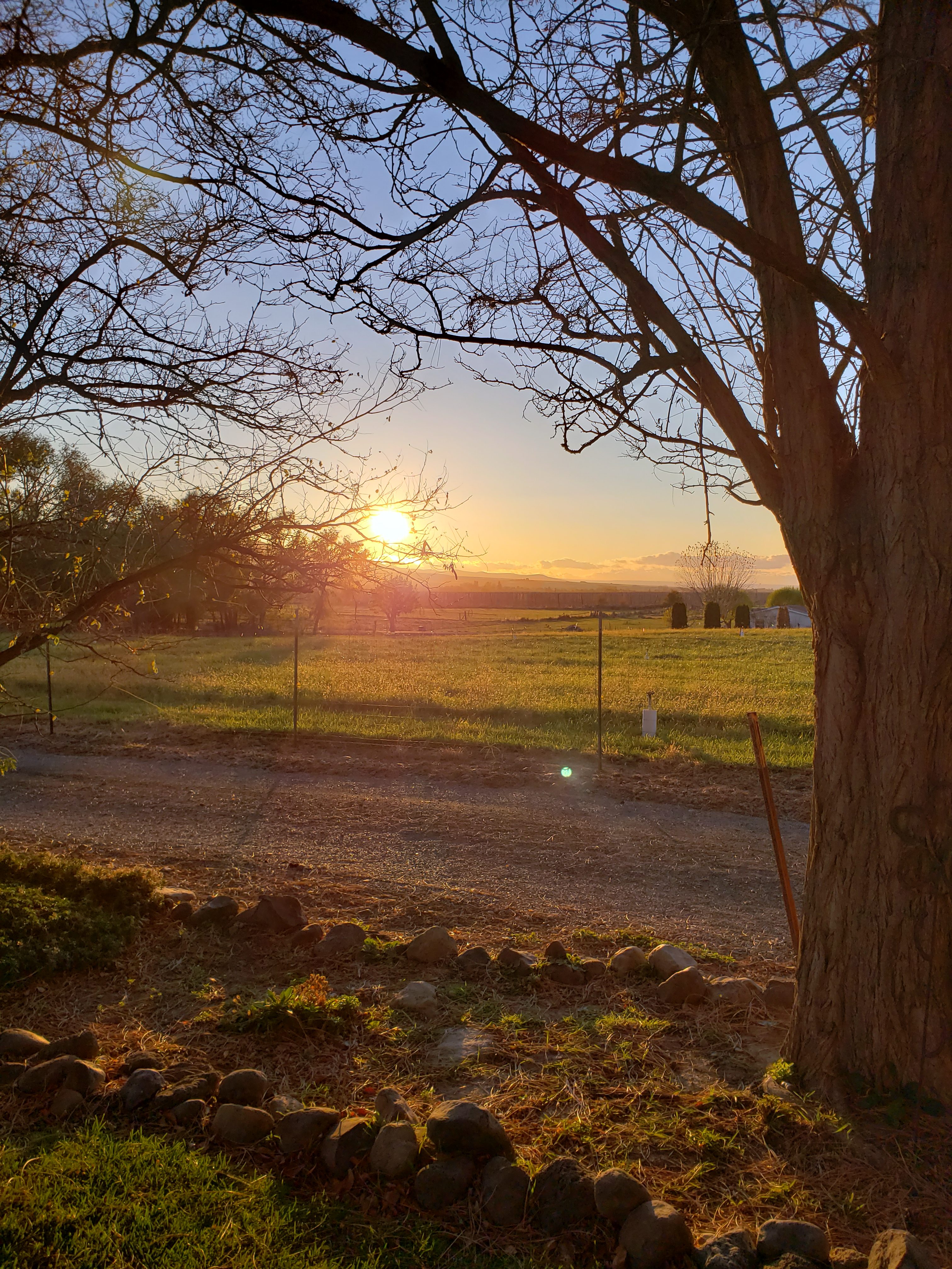 Camp in Wine Country