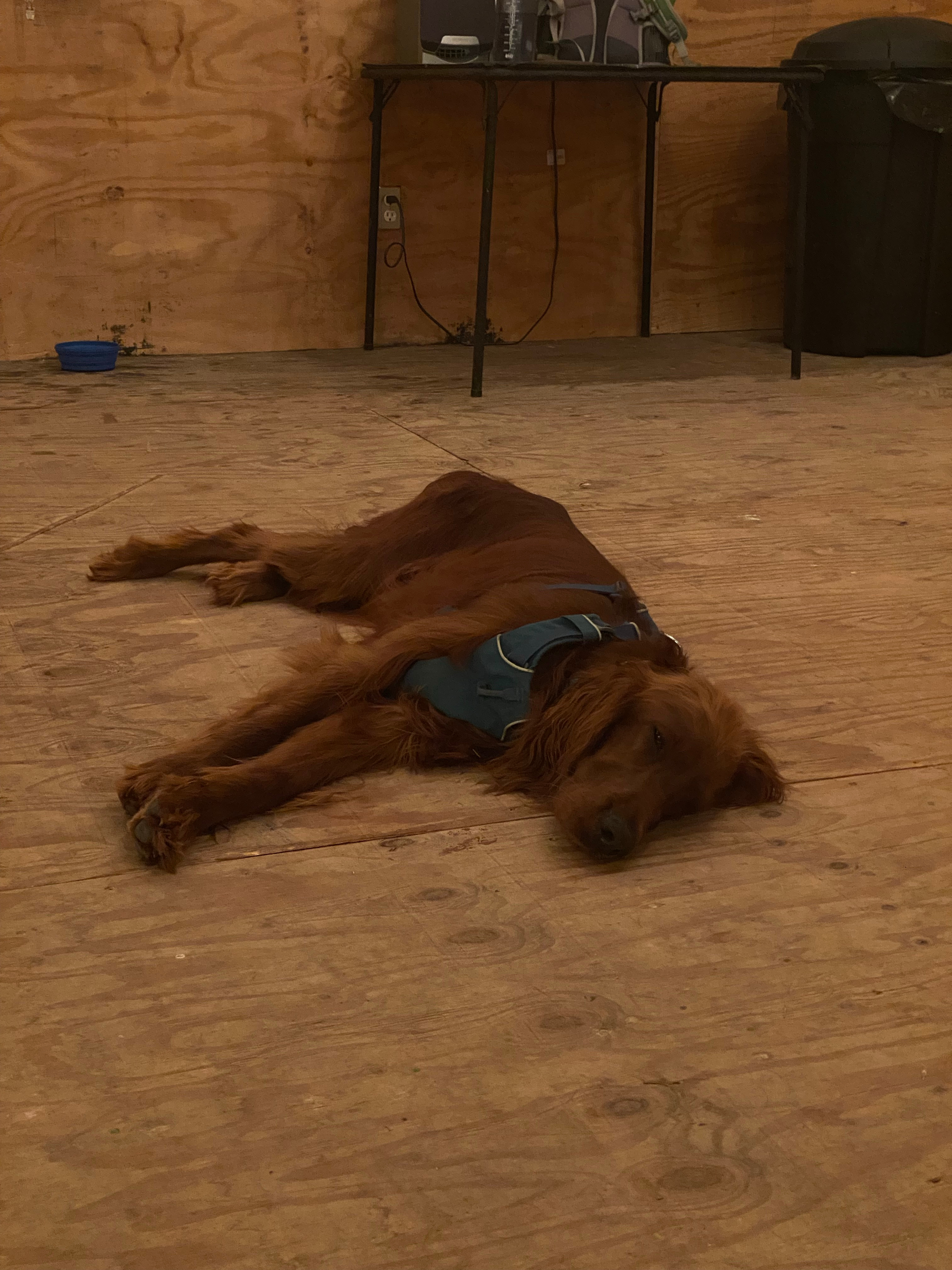 Mount Sterling Base Camp