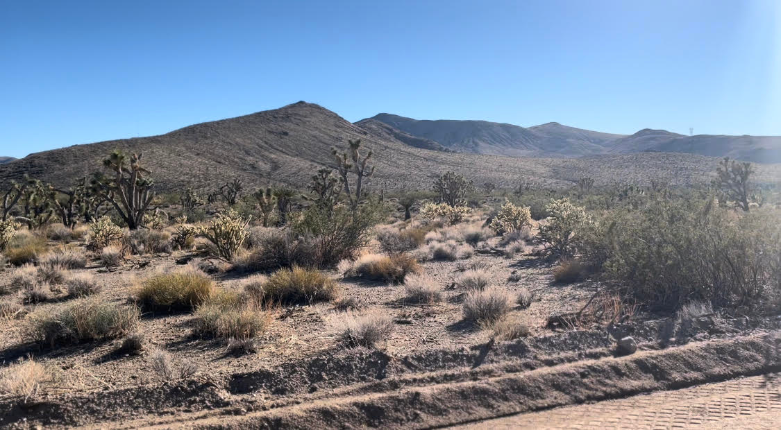 SOUTH VIEW FROM PROPERTY
