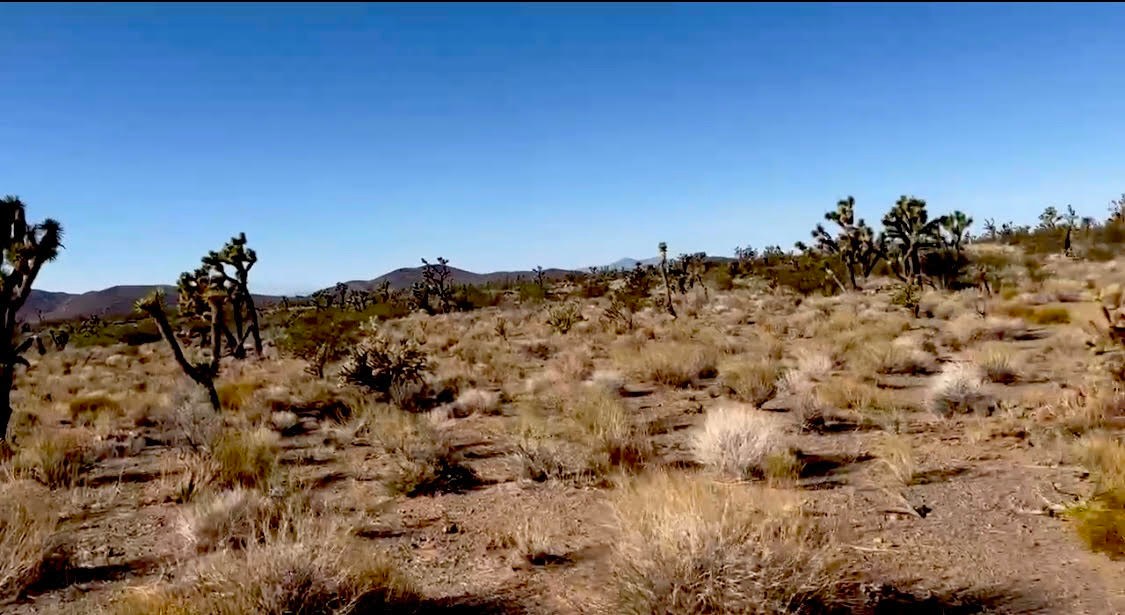 NORTHWEST VIEW OF PROPERTY