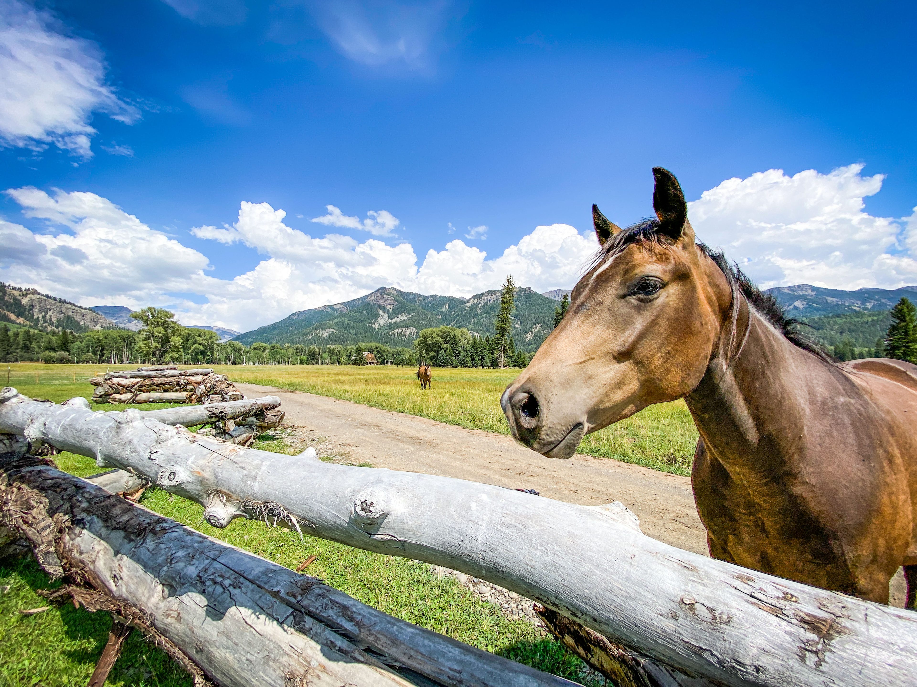 We have a myriad of add-on services, from campfire progressive dinners and happy hours to guided fishing and horseback riding.