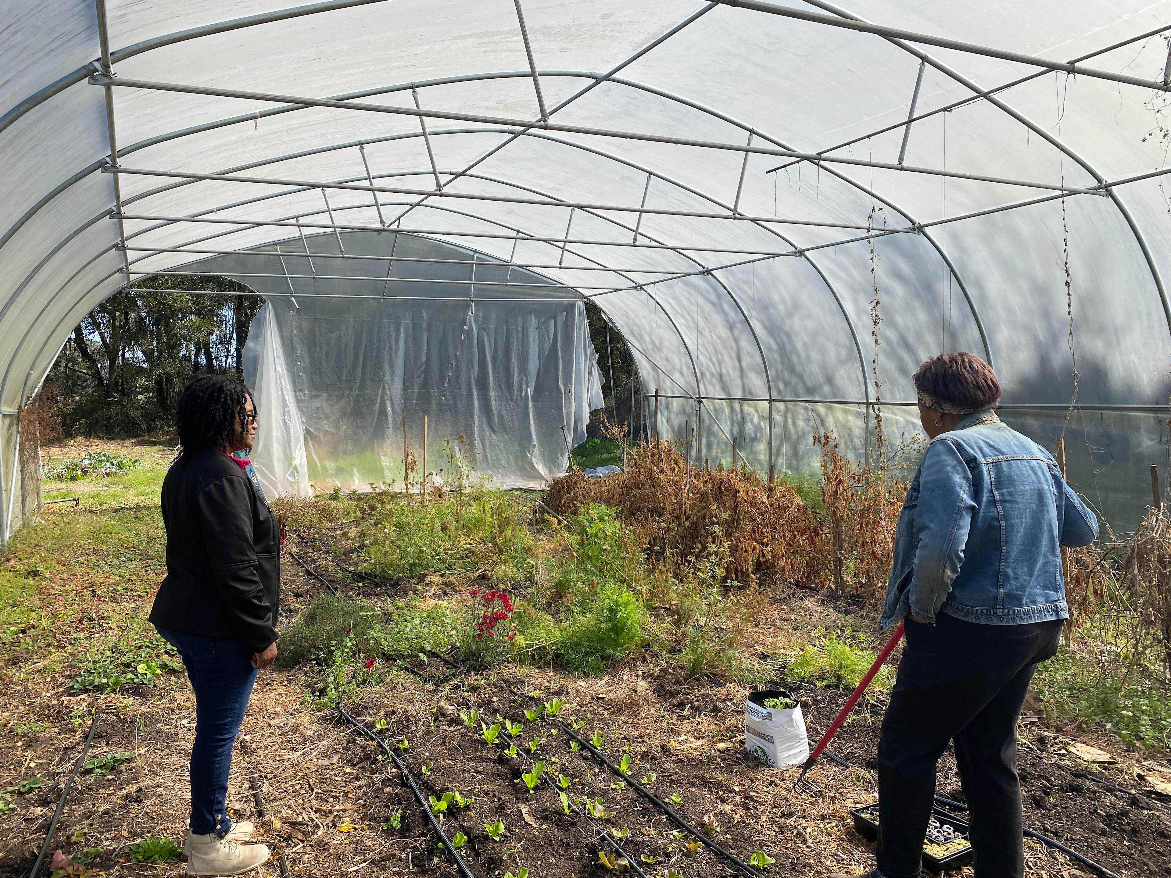 Learning about the farm during the tour.