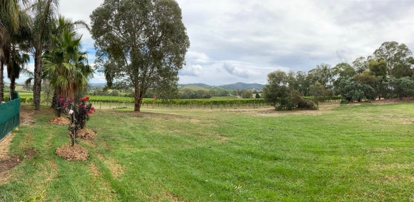 This is campsite 1 - shaded by palm and olive trees with a wonderful easterly view to enjoy the magnificent sunsets. Ideal for smaller cap setups and tents.
