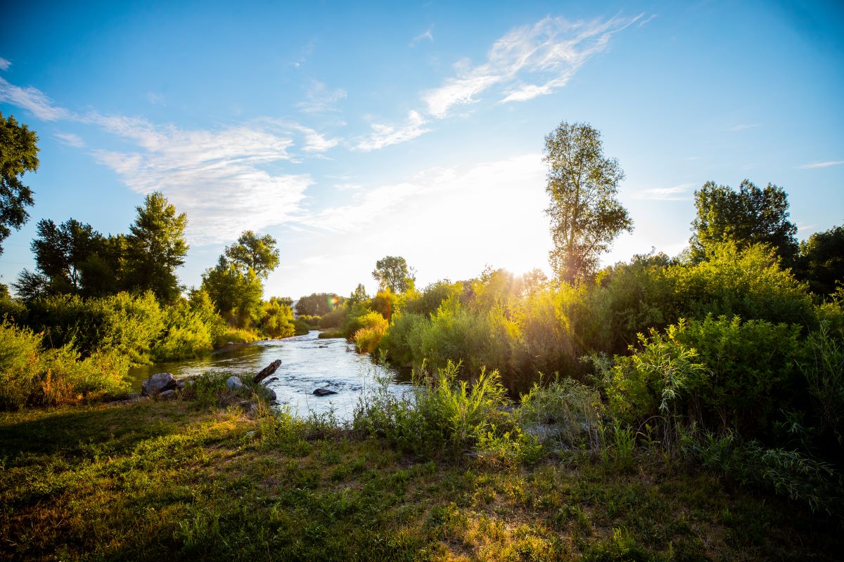 Weber River Access