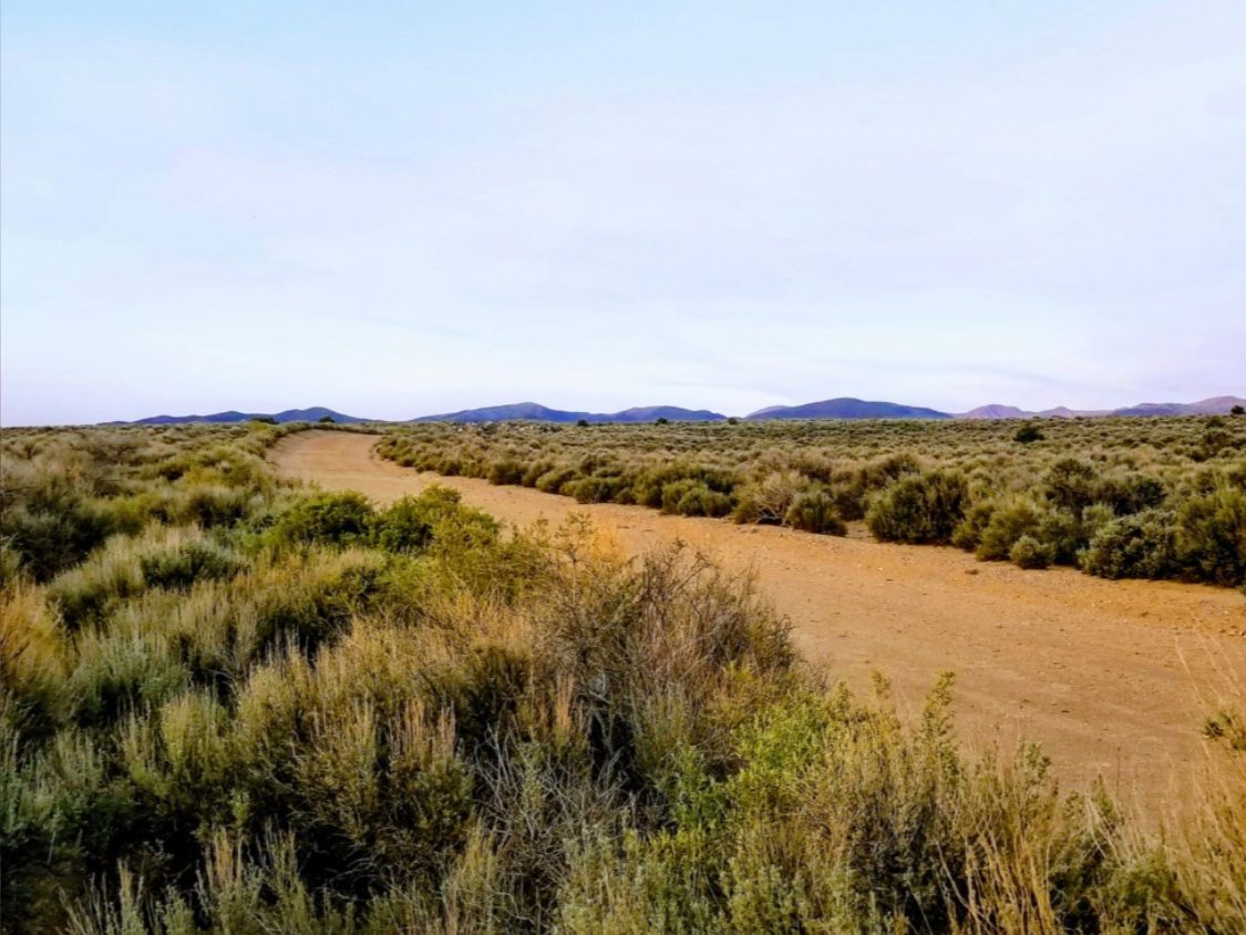 The Trail