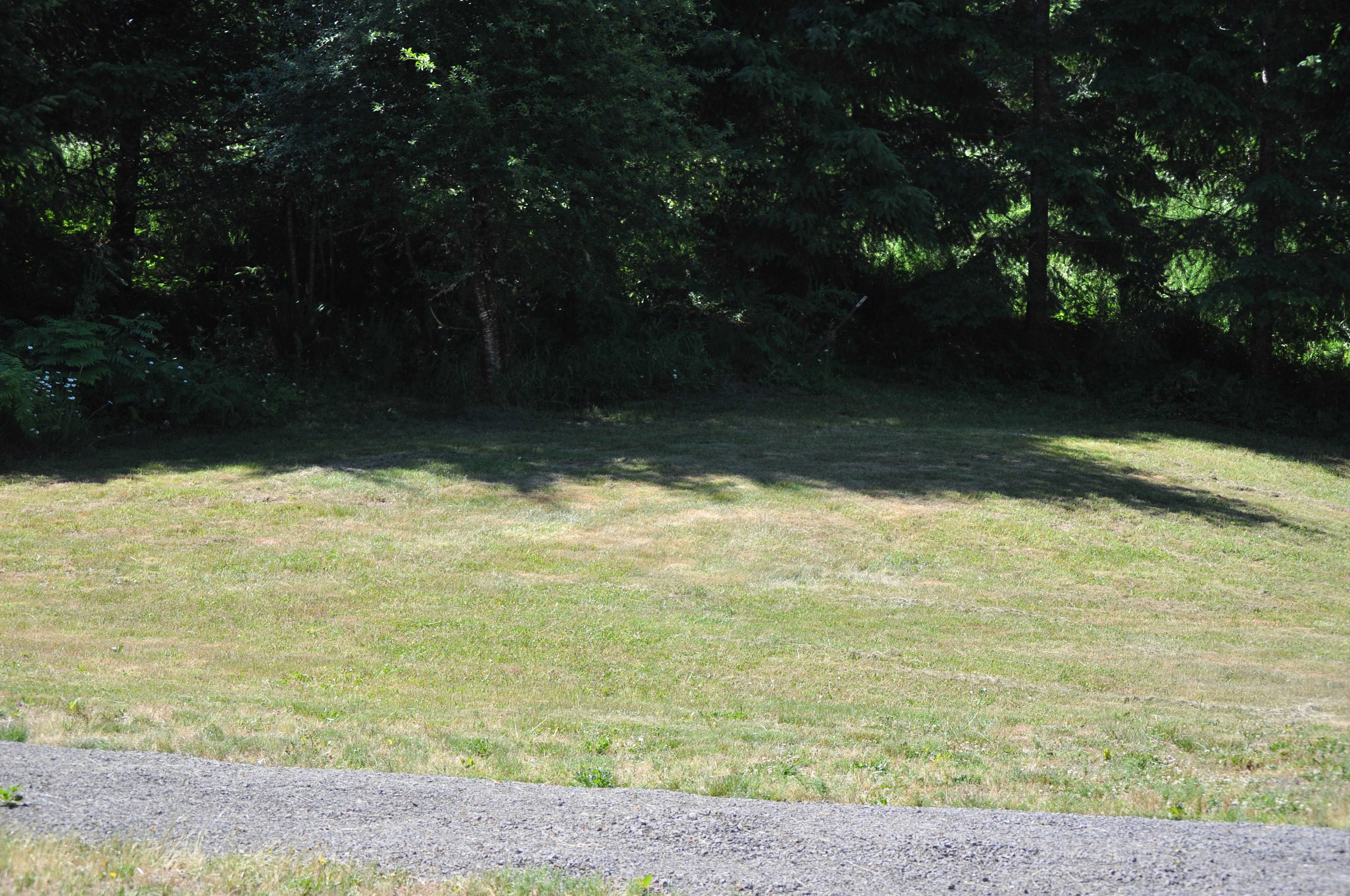 The grassy area across from Site A