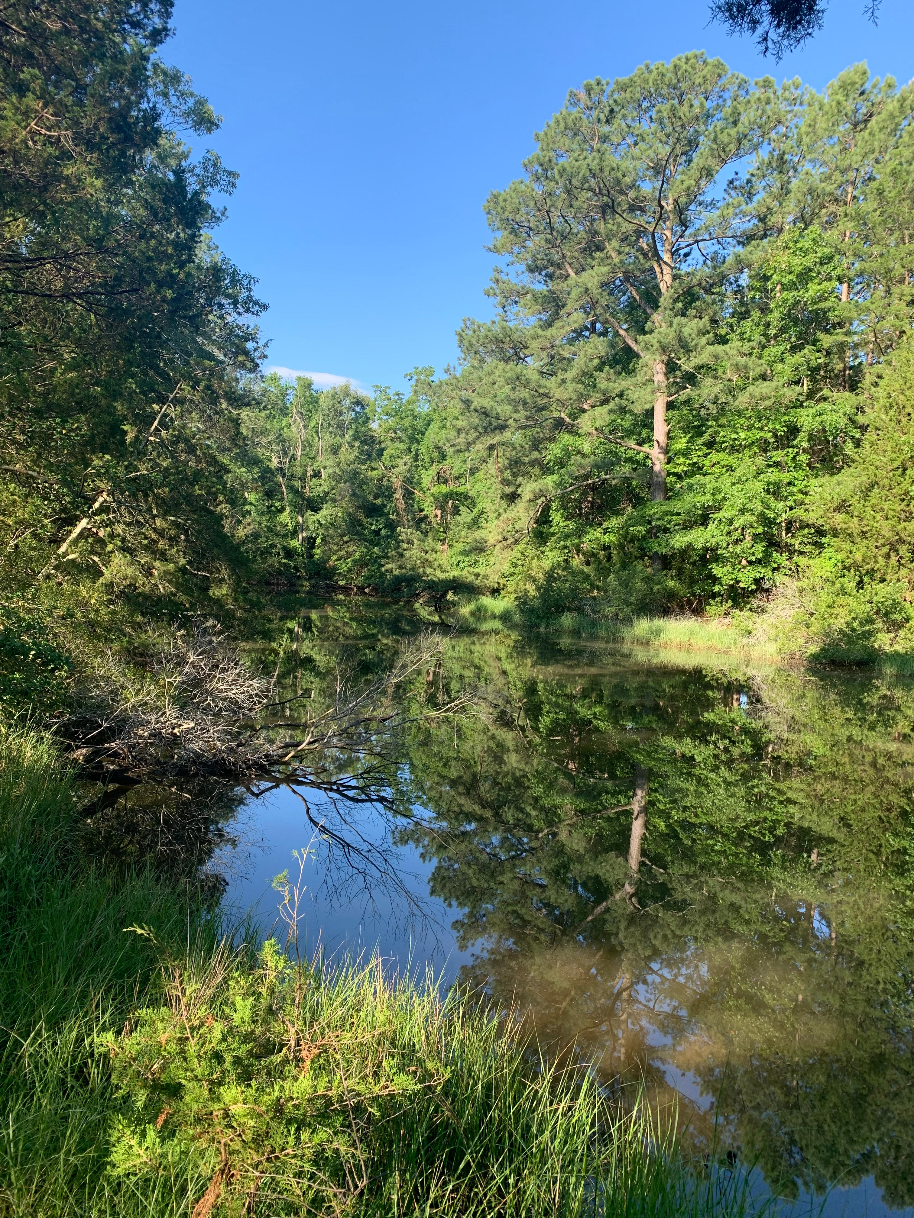 Site is along the left bank of this serene creek.