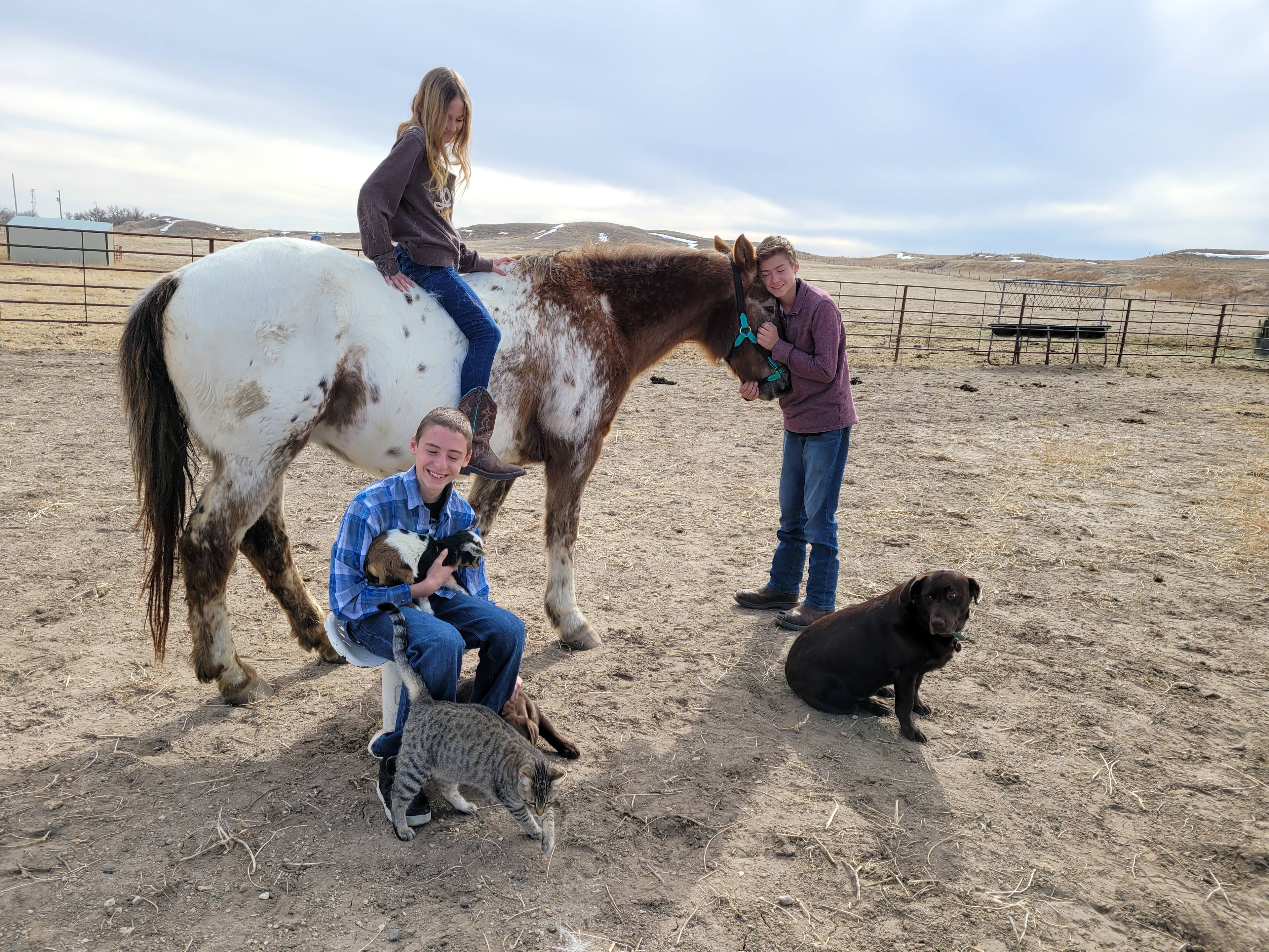 Fisher Family Farm and Ranch