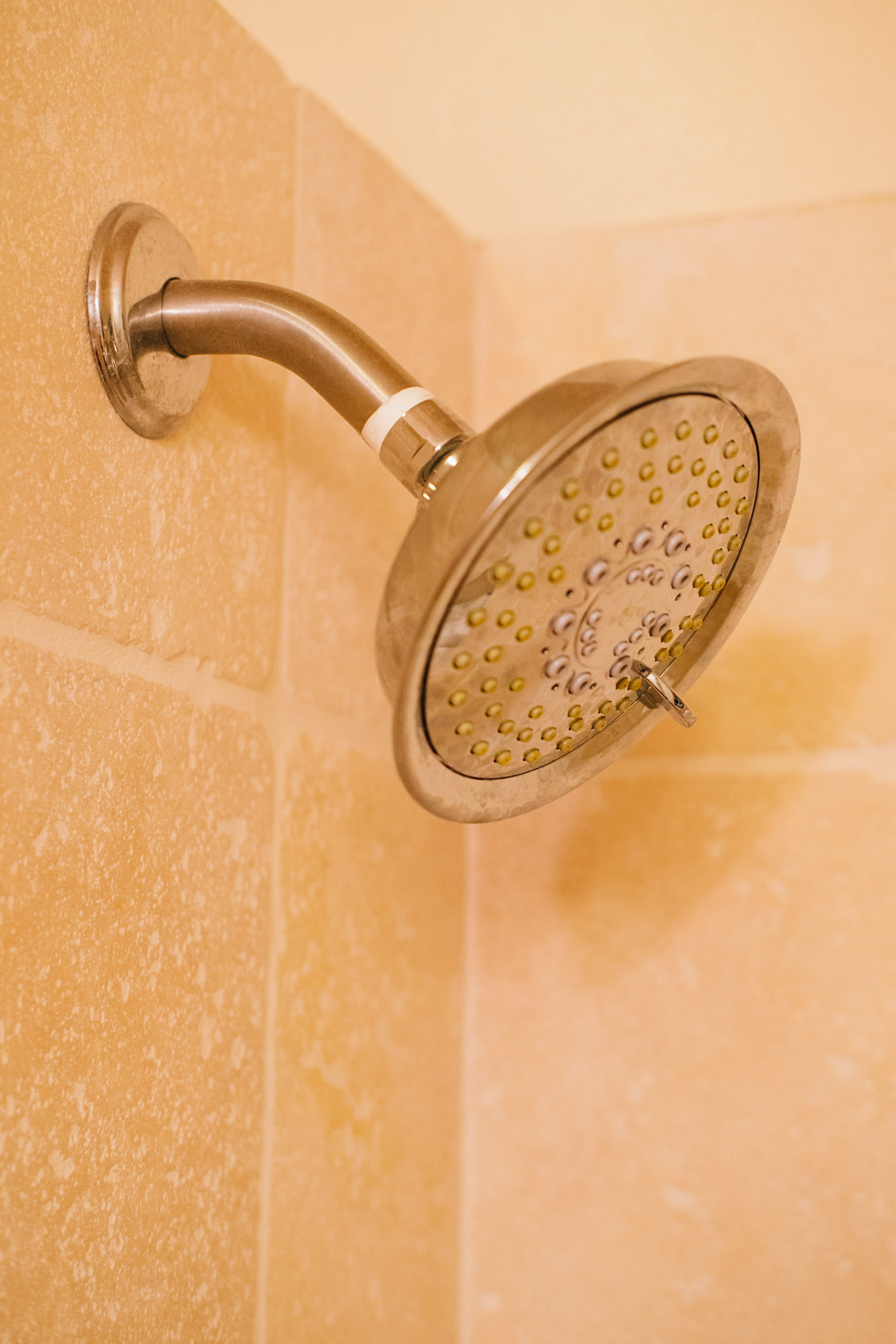 Bay View "Tree House"