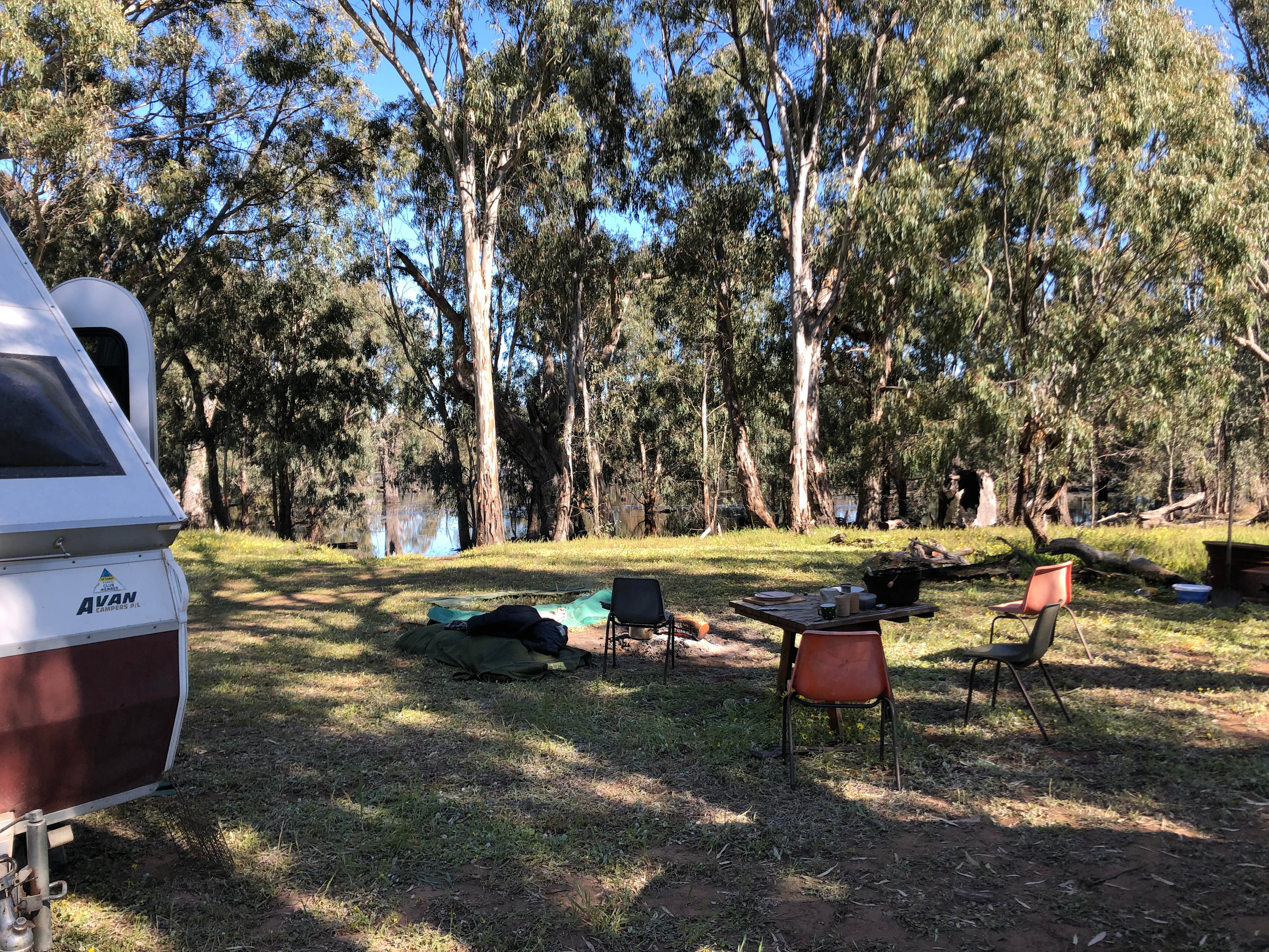 Sandalwoods by the lagoon