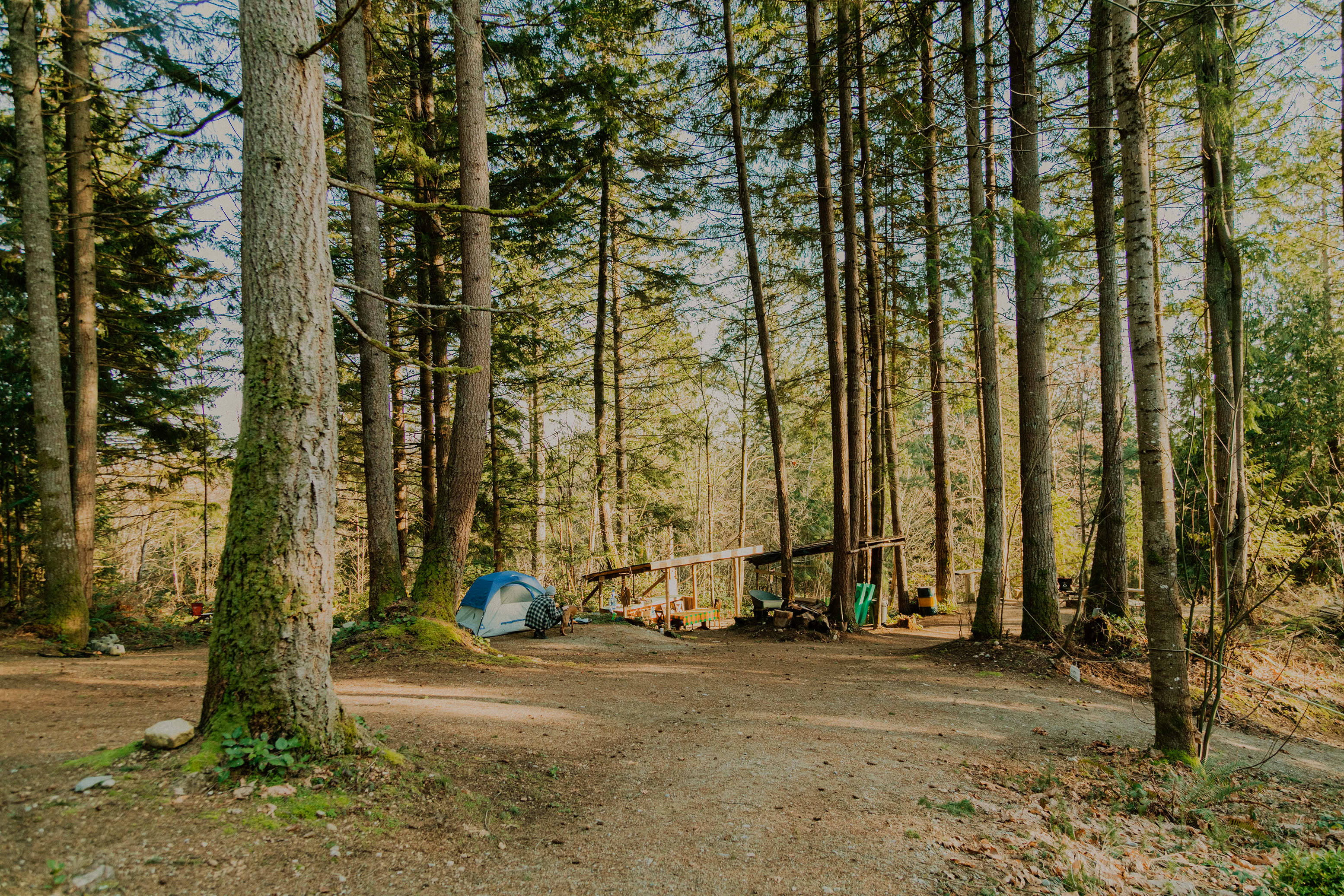 The view from when you first drive down the hill. You can see a bit of the kitchen area, the hangout firepit area, and where we set up camp.