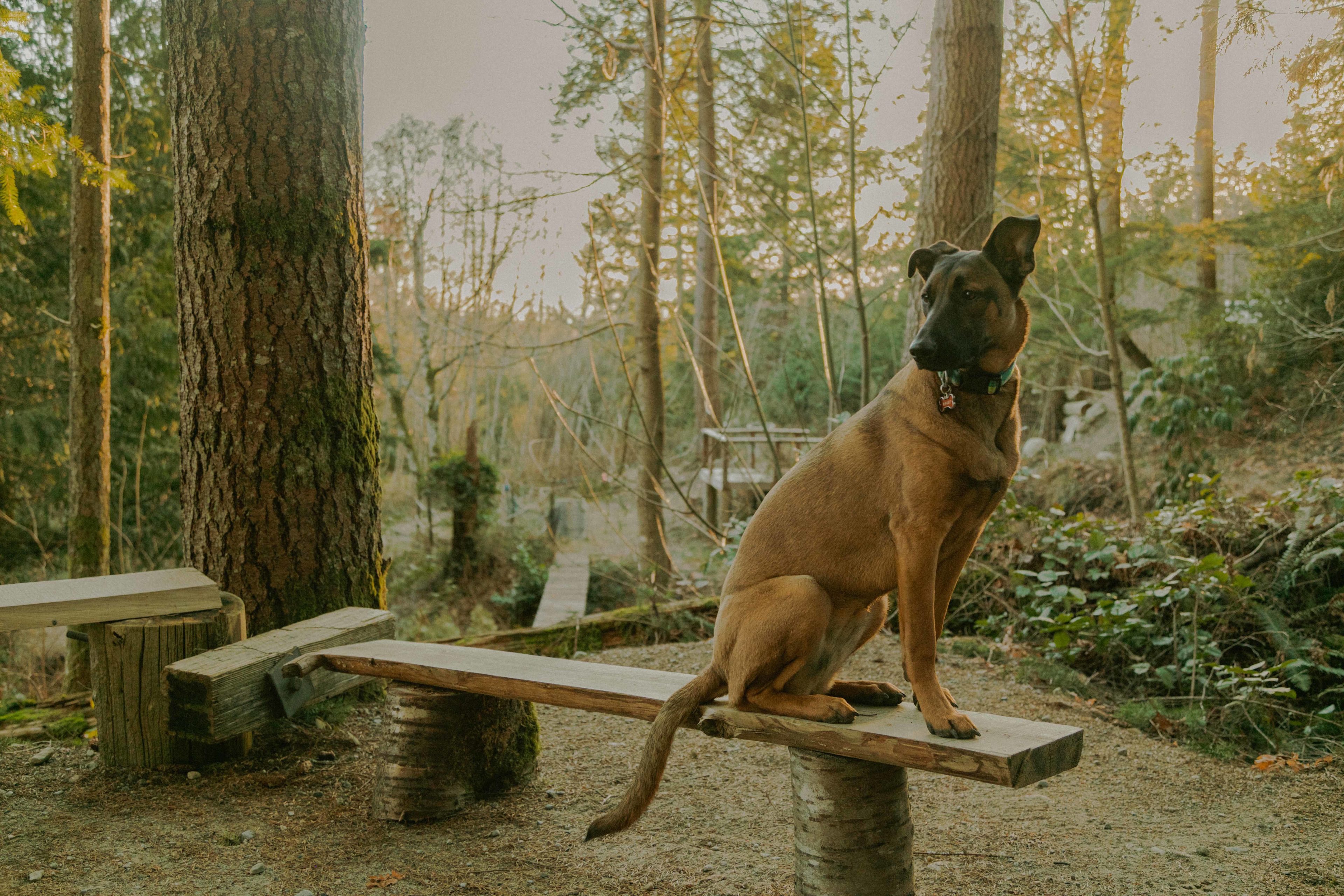 There were so many cute wooden benches around the firepit area. Apparently almost everything here has been repurposed material - so amazing! Definitely a 'green' zone.