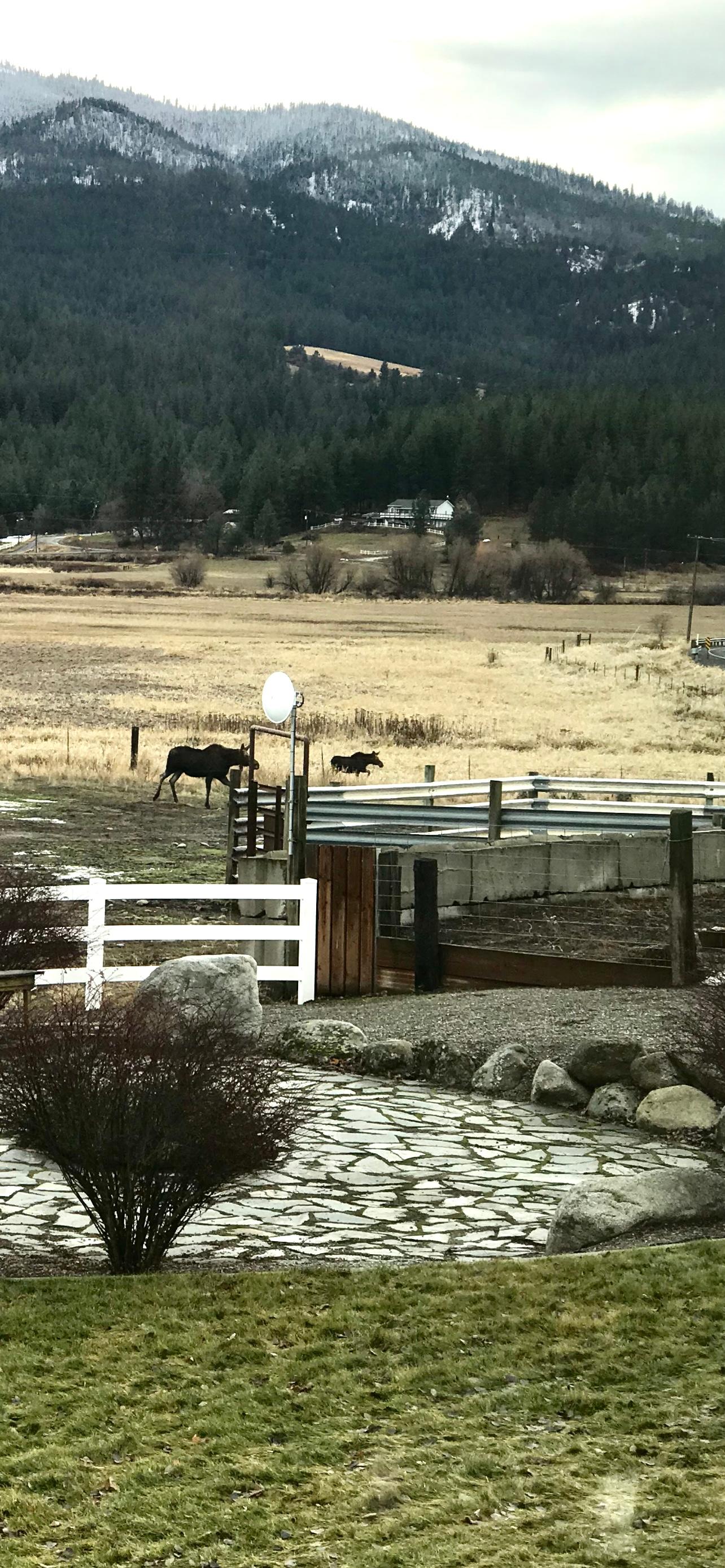 Mica Valley Ranch