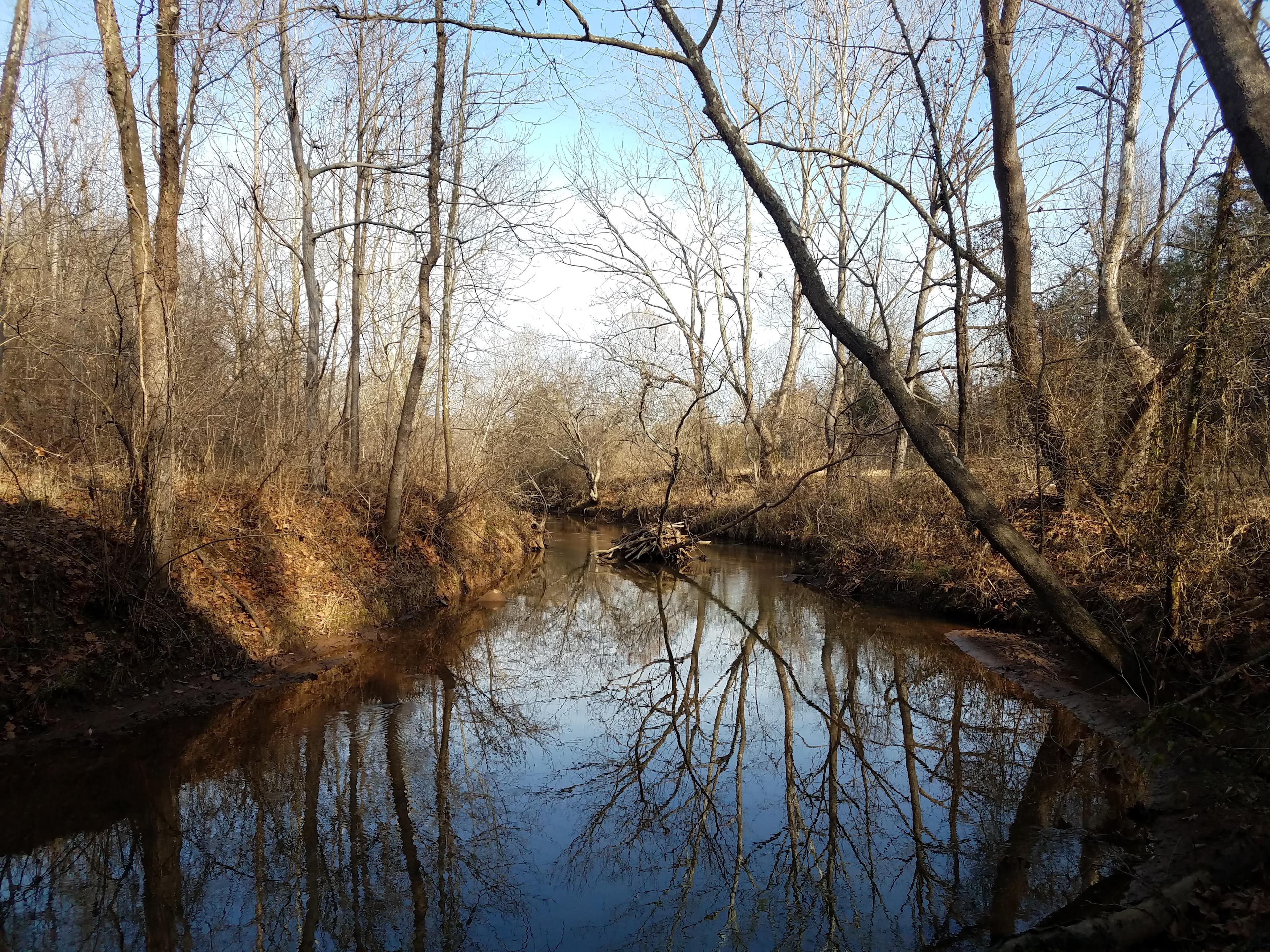 Cove Creek. Tubing and wading, encouraged. (water shoes mandatory)