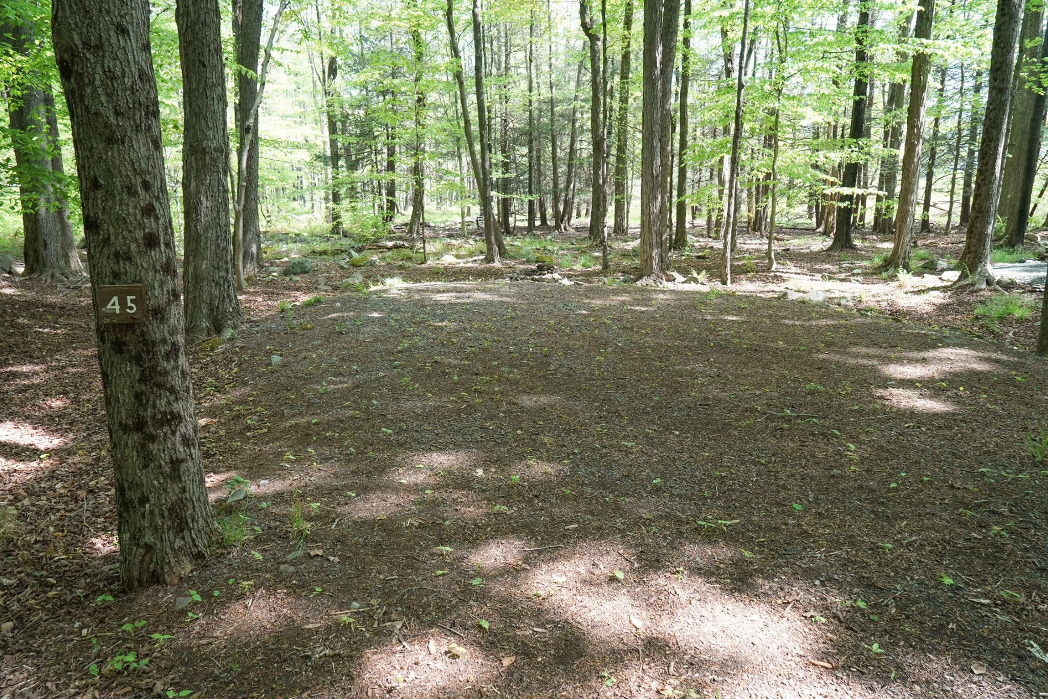 Campsite 45