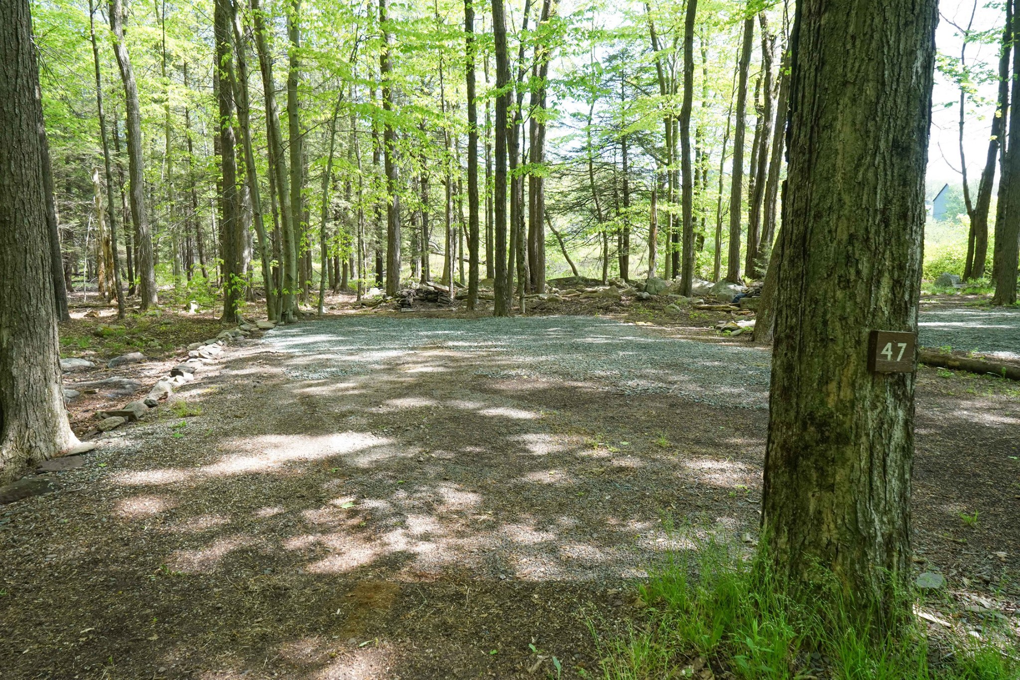 Campsite 47