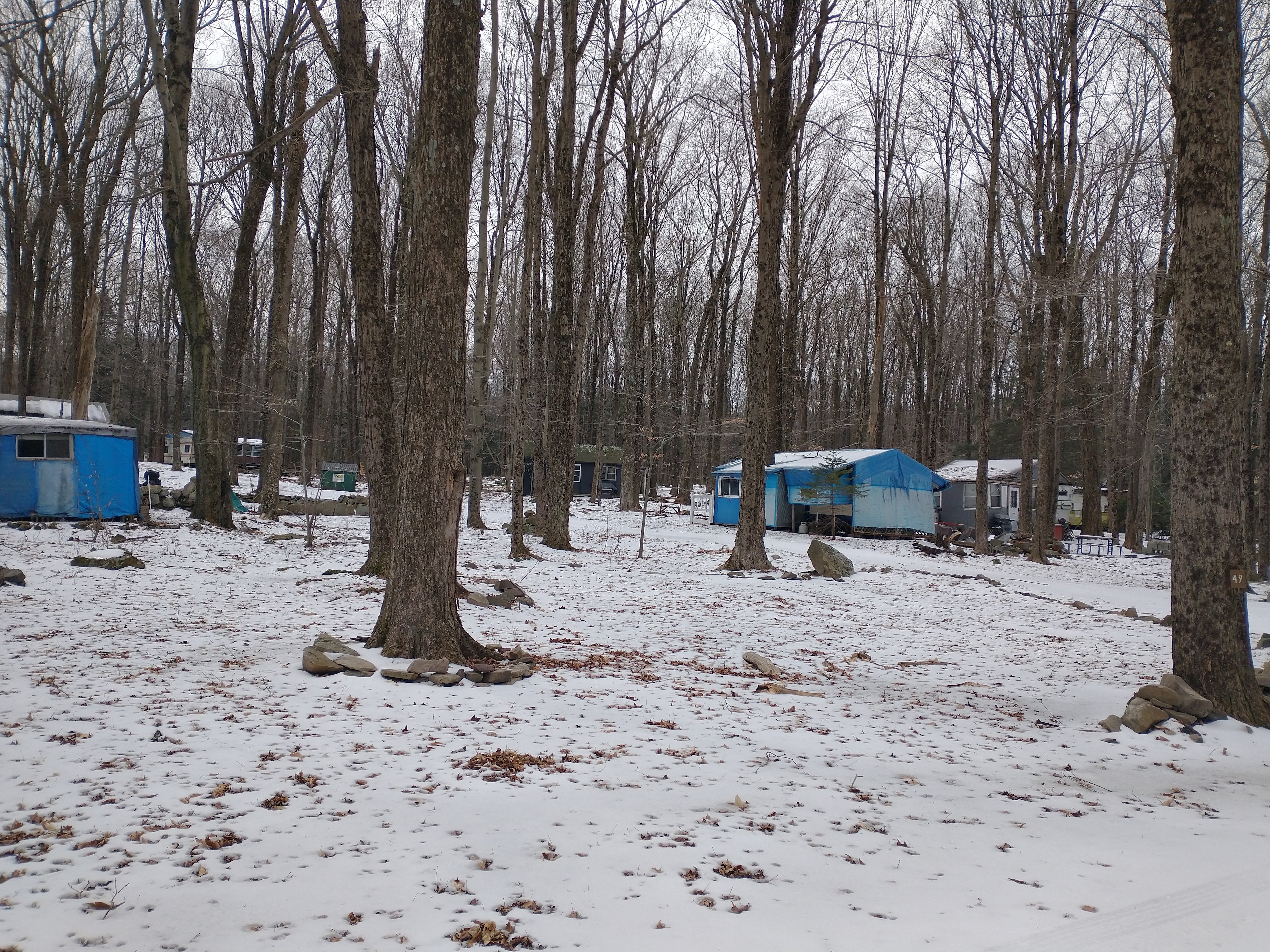 Campsite 49