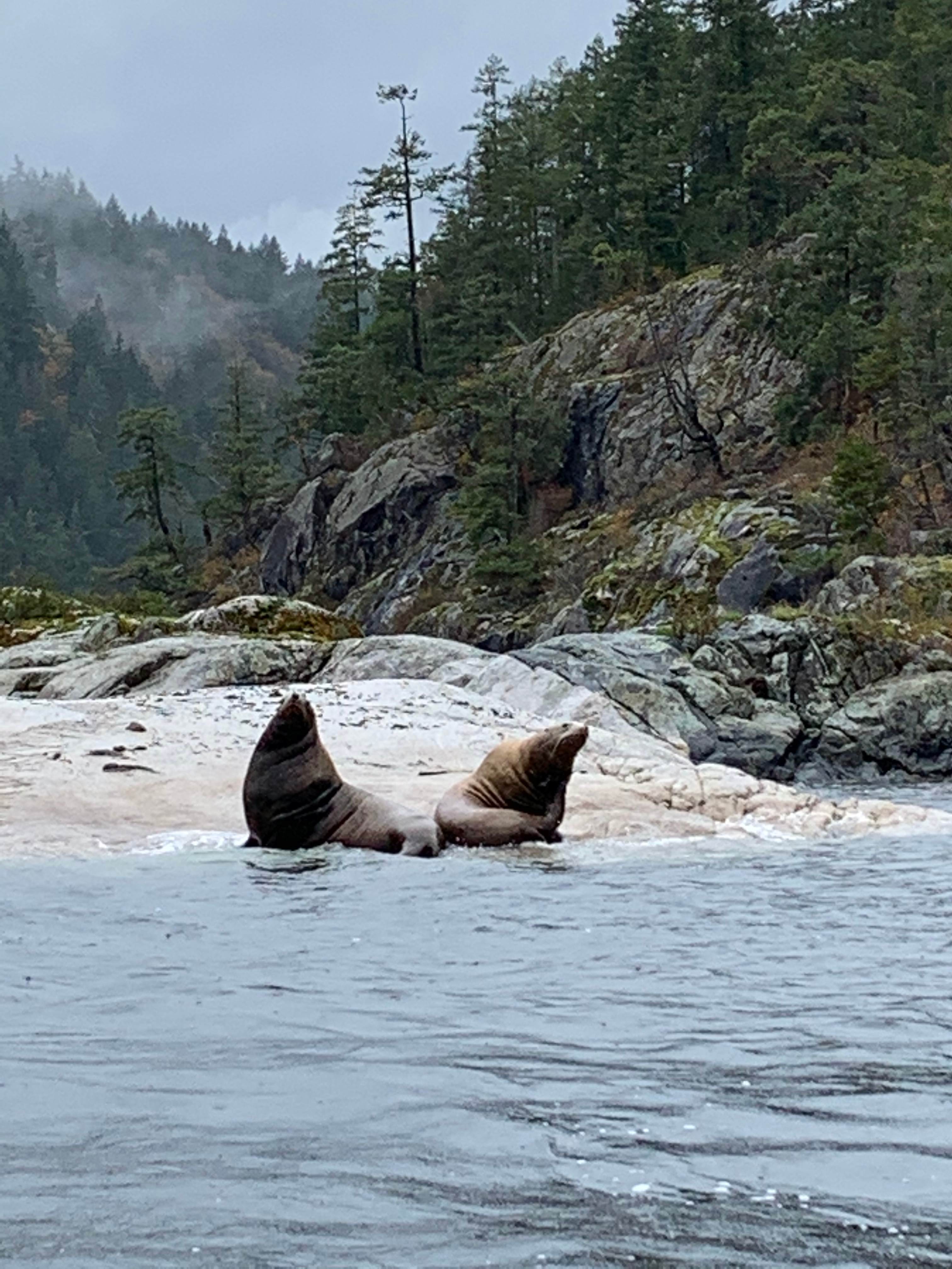 2 Tide on the Hillside