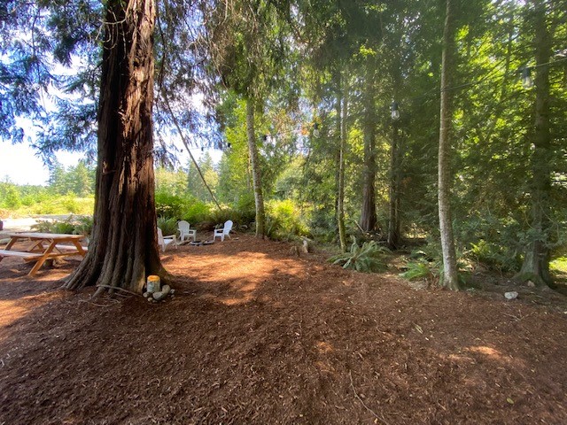Whidbey Island Christmas Tree Farm