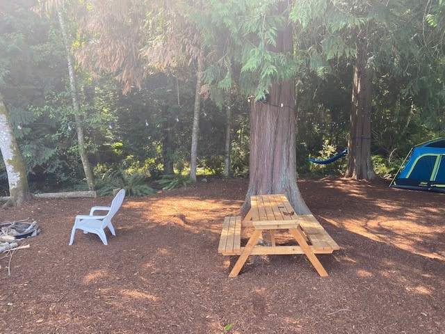 Whidbey Island Christmas Tree Farm