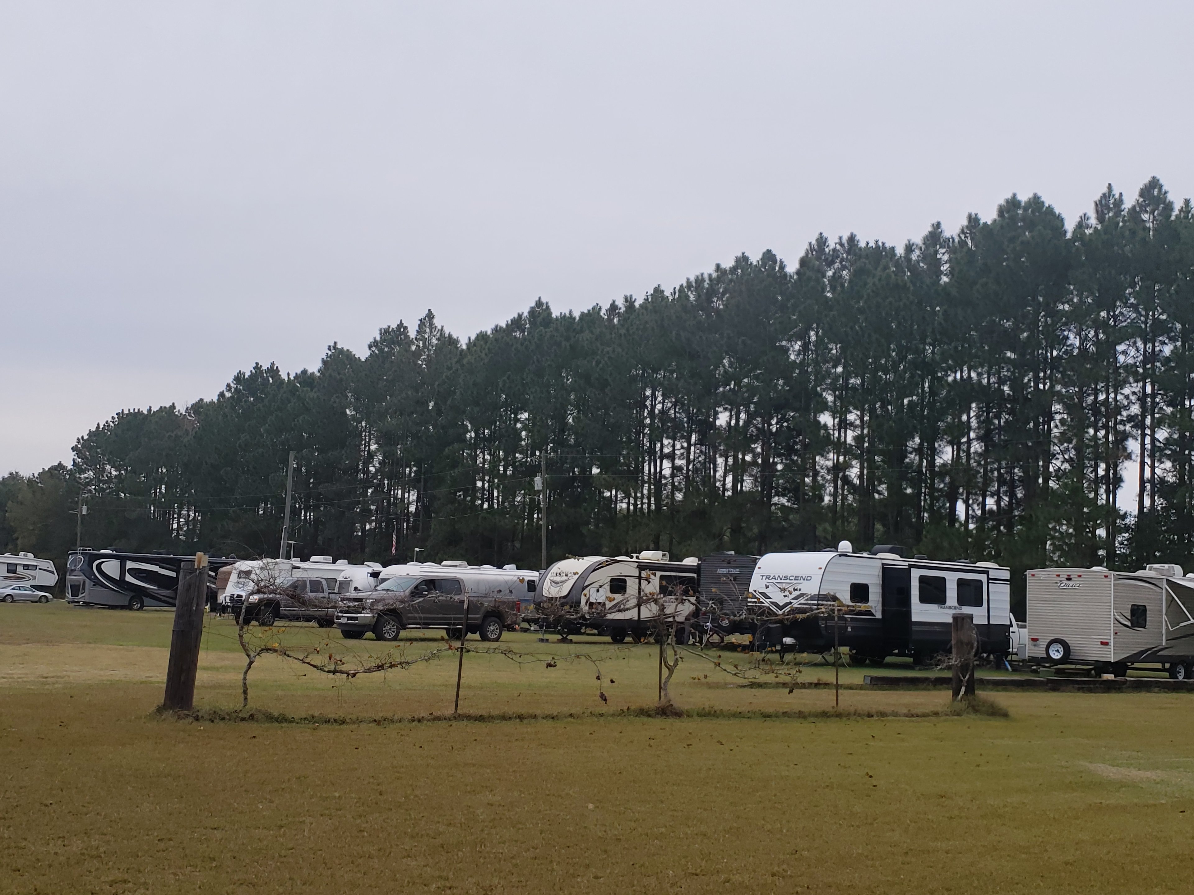 22 Premium Sites Level Grass Lawn