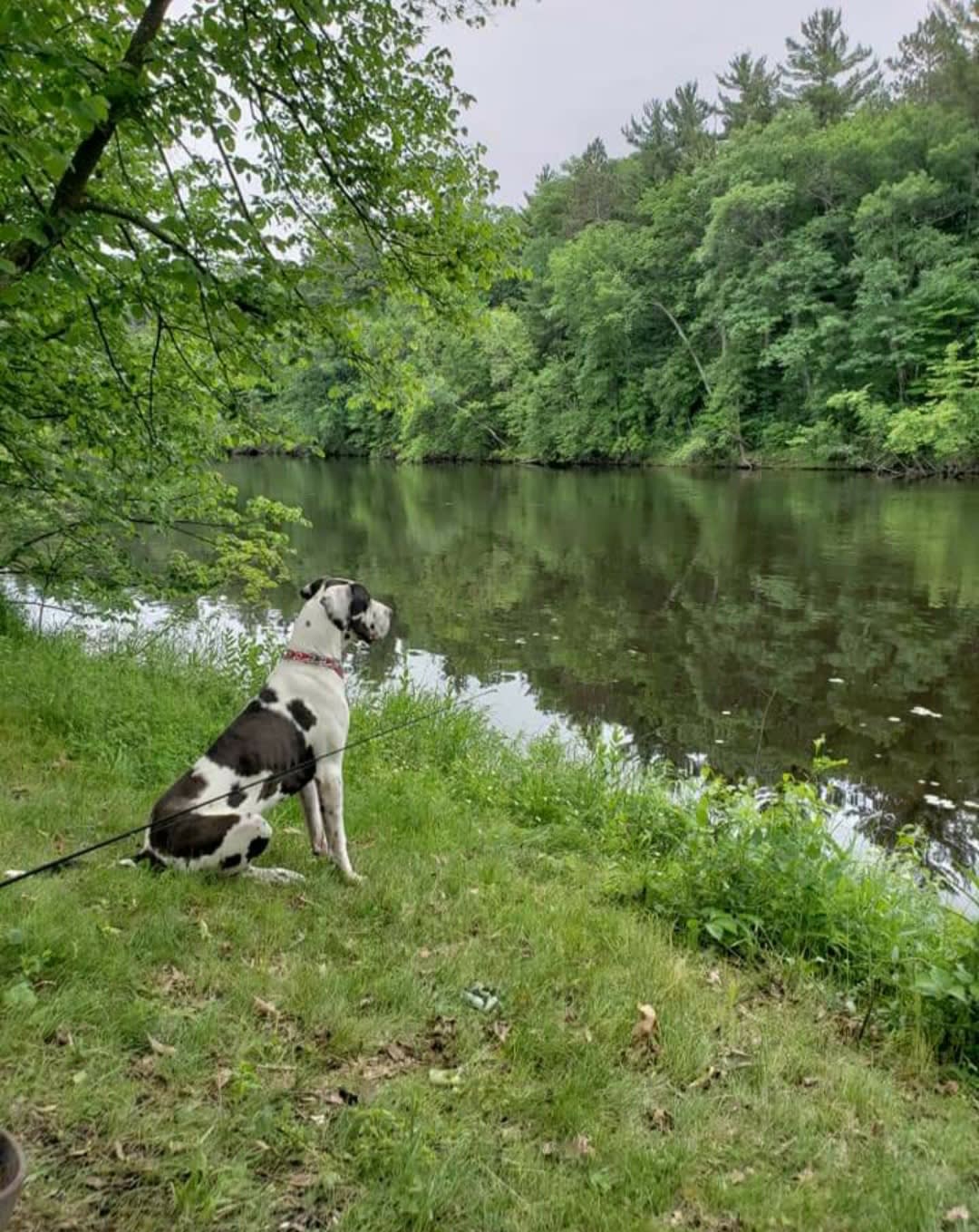 Relaxing River Cabin with Kayaks