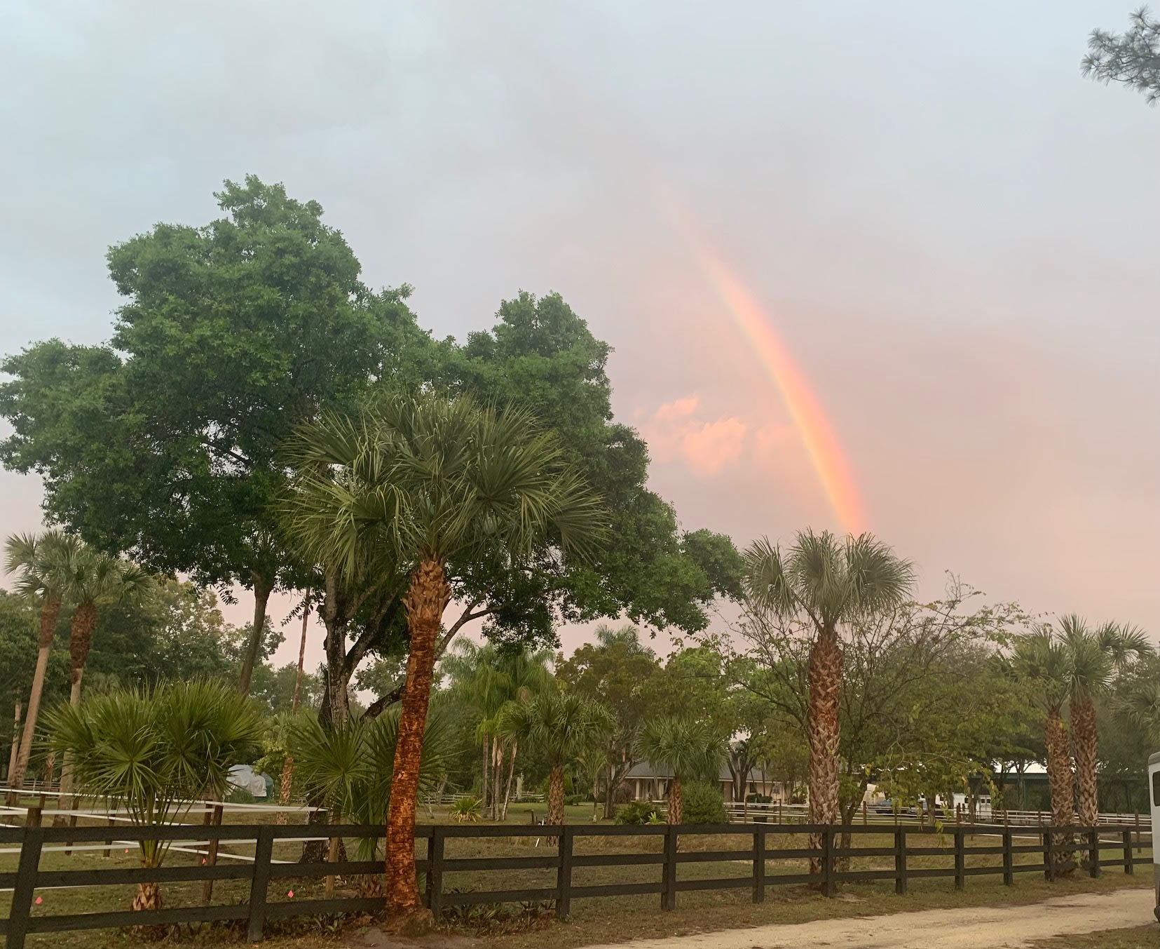 Mini Ponies & Mango Trees Retreat