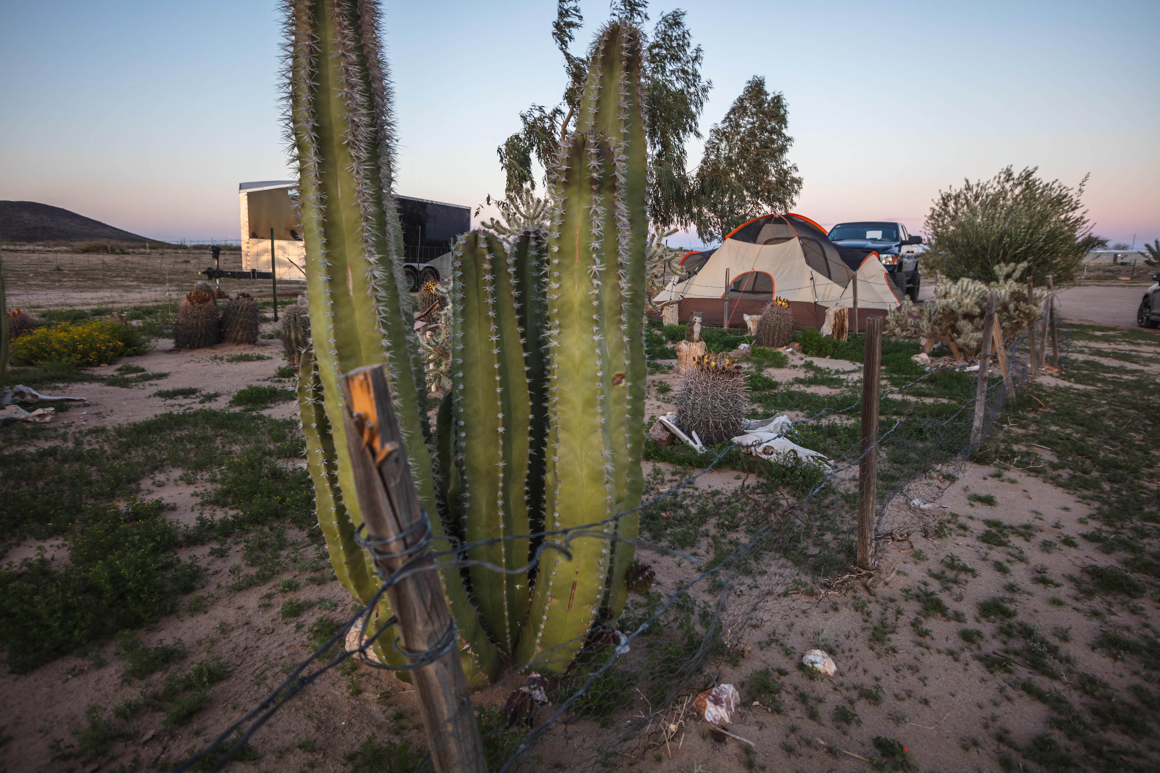 Desert Breezes